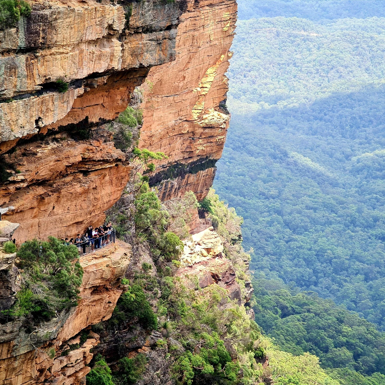 Blue Mountains Tour from Sydney with Waterfalls, Hiking & Lunch