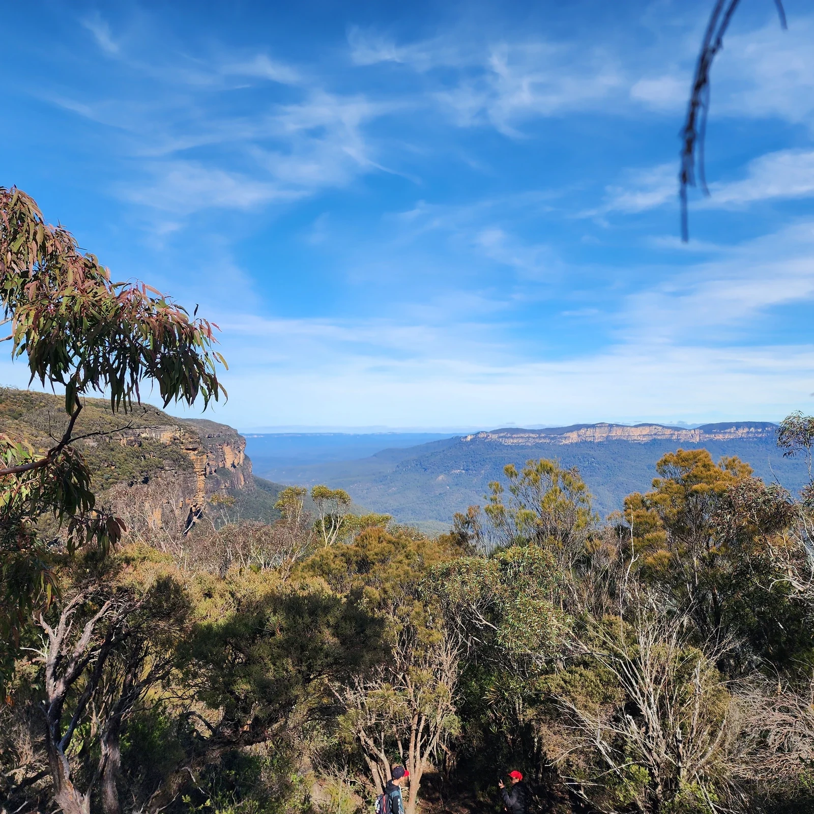 Blue Mountains Tour ab Sydney mit Wasserfällen, Wandern & Mittagessen