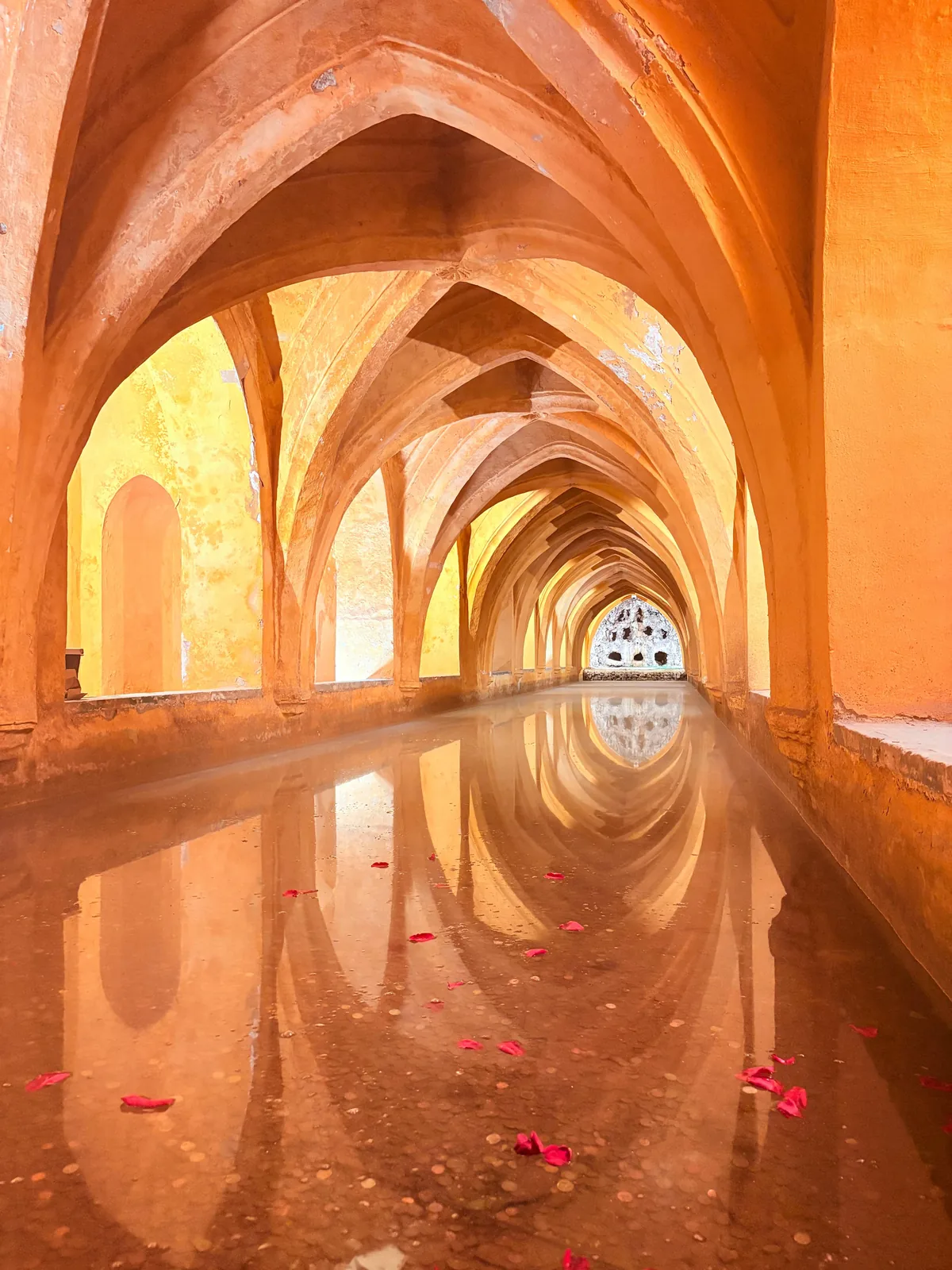 Sevilla: tour Catedral, Giralda y Alcázar con acceso prioritario