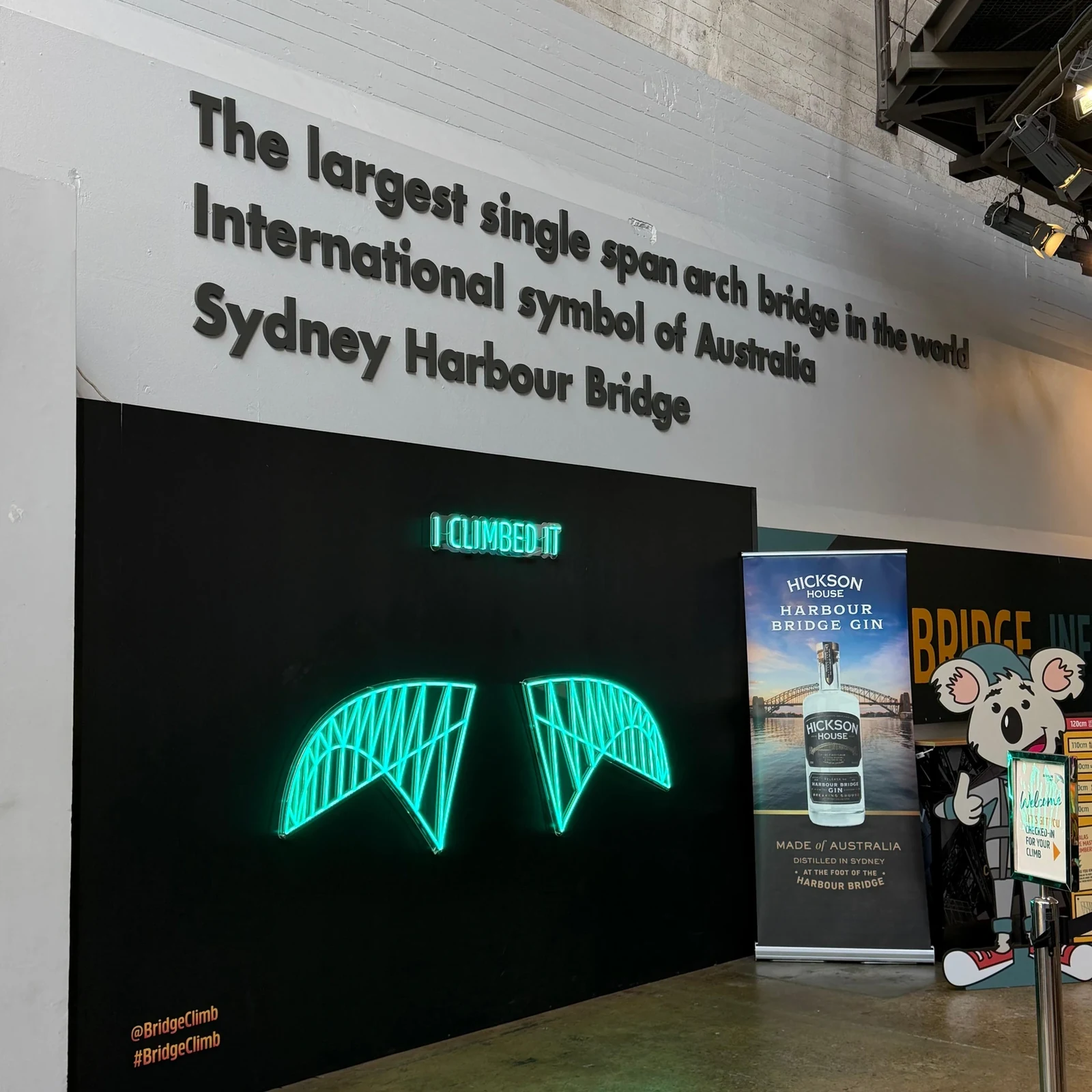 Sydney Harbour Bridge Climb: Reach the Summit with a Guide