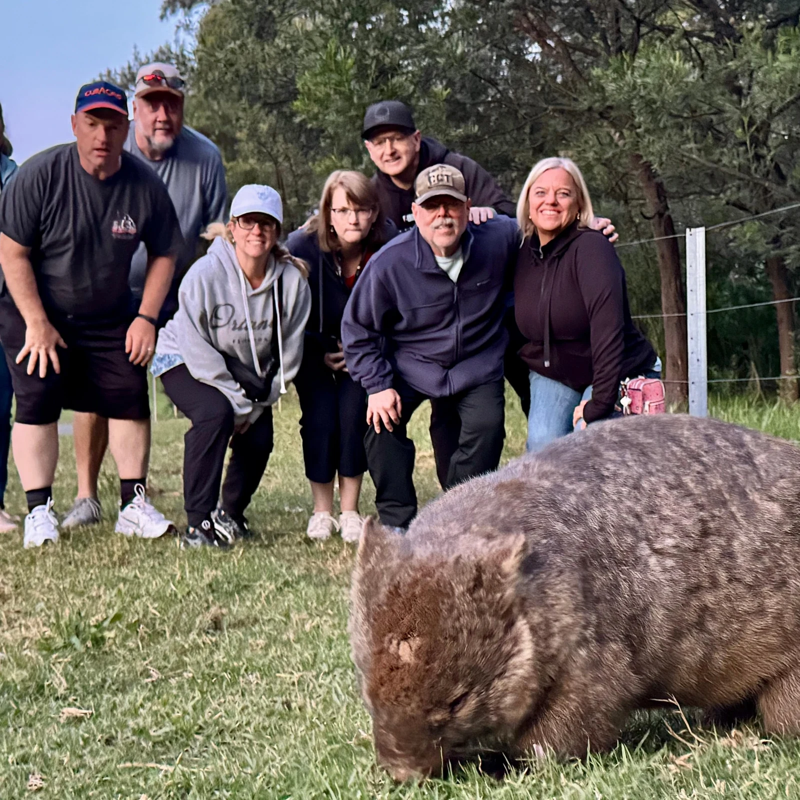 Wilde Wombats und Kängurus ab Sydney: Natur, Abendessen und Sterne