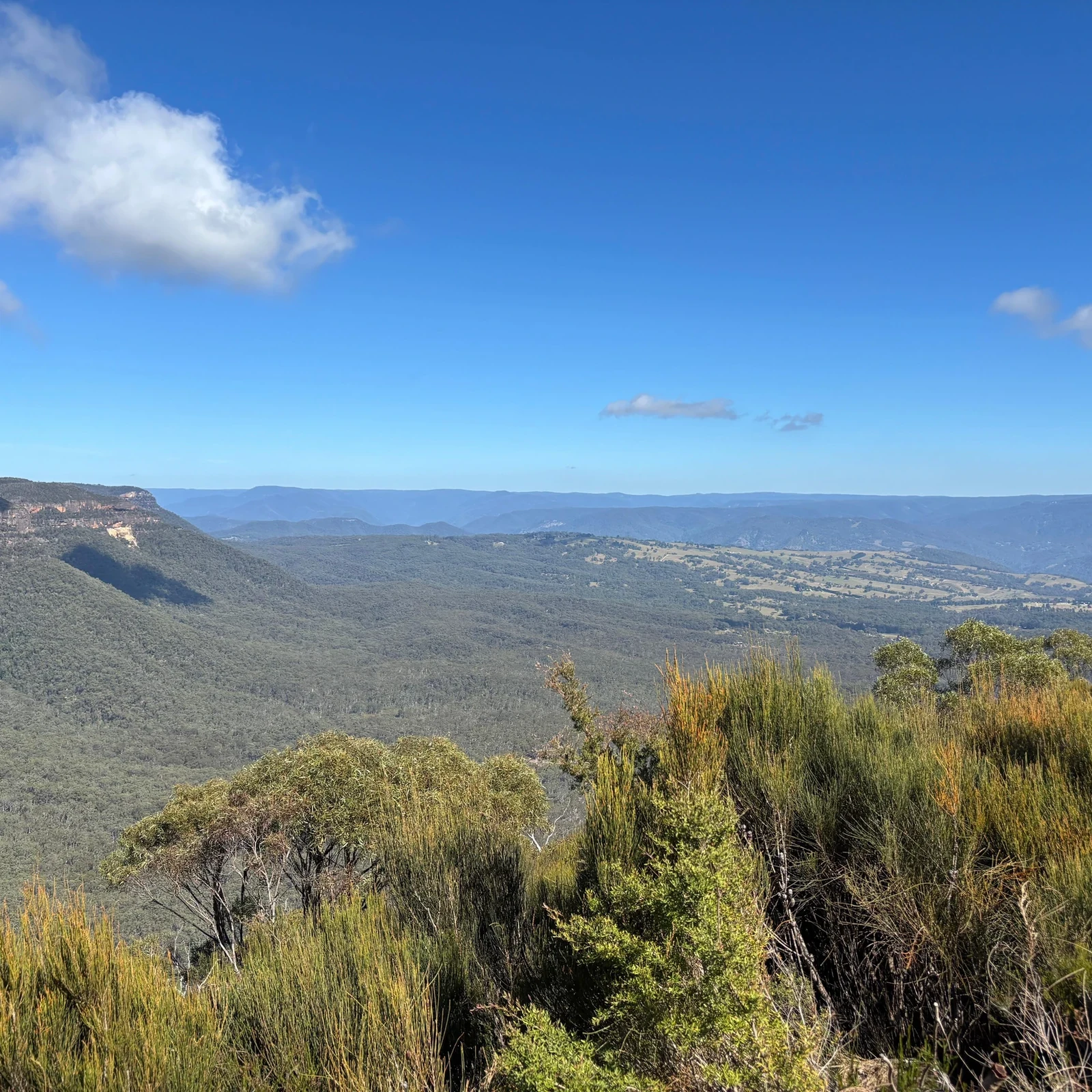 Excursion aux Blue Mountains depuis Sydney avec Scenic World