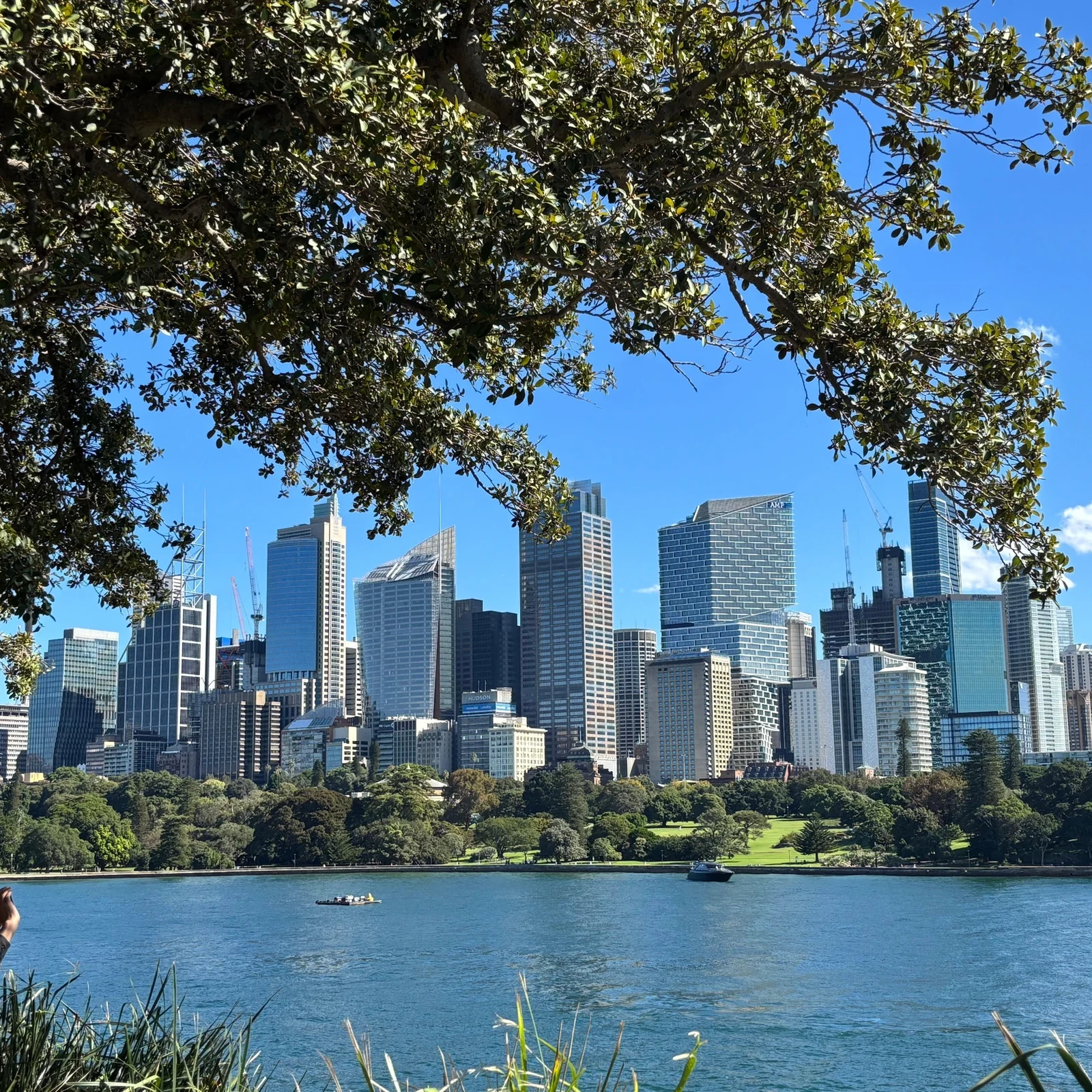 See Sydney and Bondi Beach in Just 4 Hours
