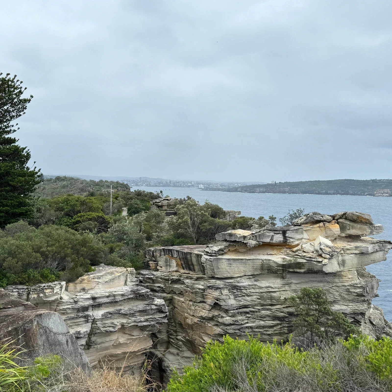 See Sydney and Bondi Beach in Just 4 Hours