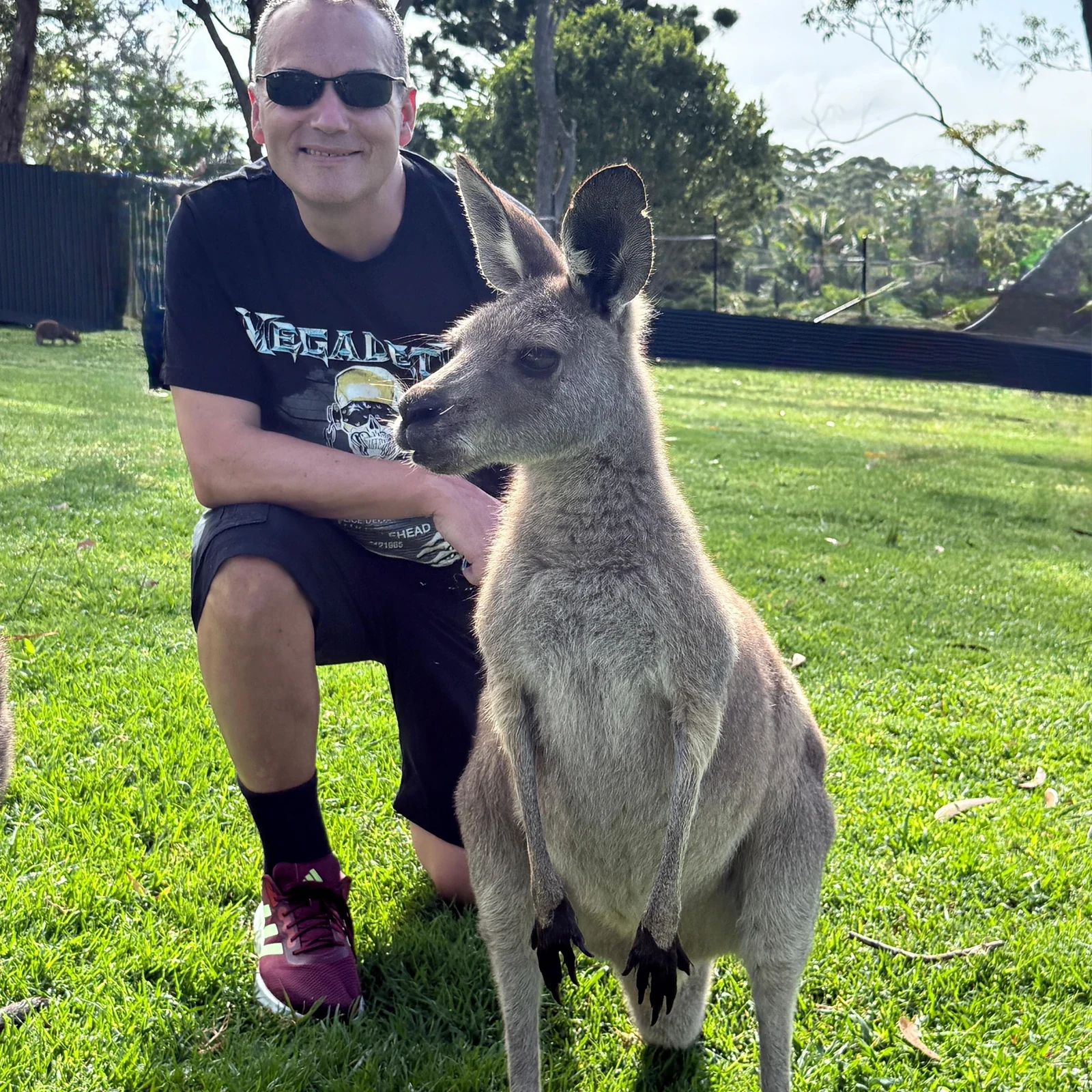 Jervis Bay from Sydney: koalas, kangaroos and Hyams Beach in one day