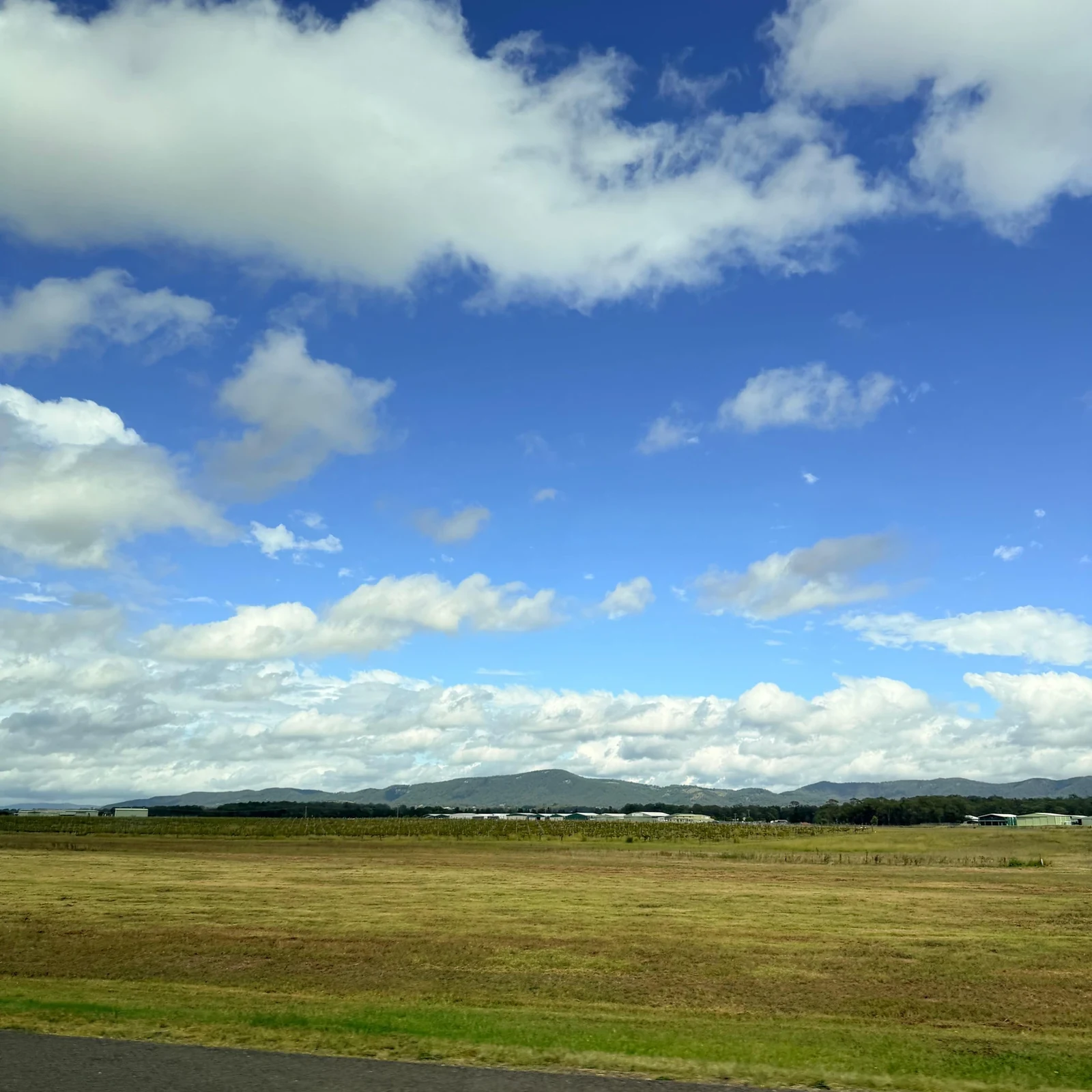Excursion de Sydney à Hunter Valley avec dégustation de vin et pique-nique