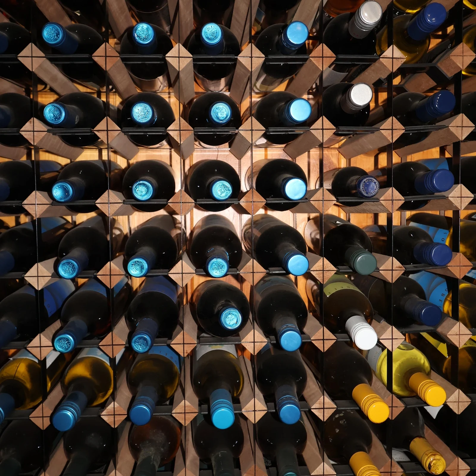 Excursion de Sydney à Hunter Valley avec dégustation de vin et pique-nique