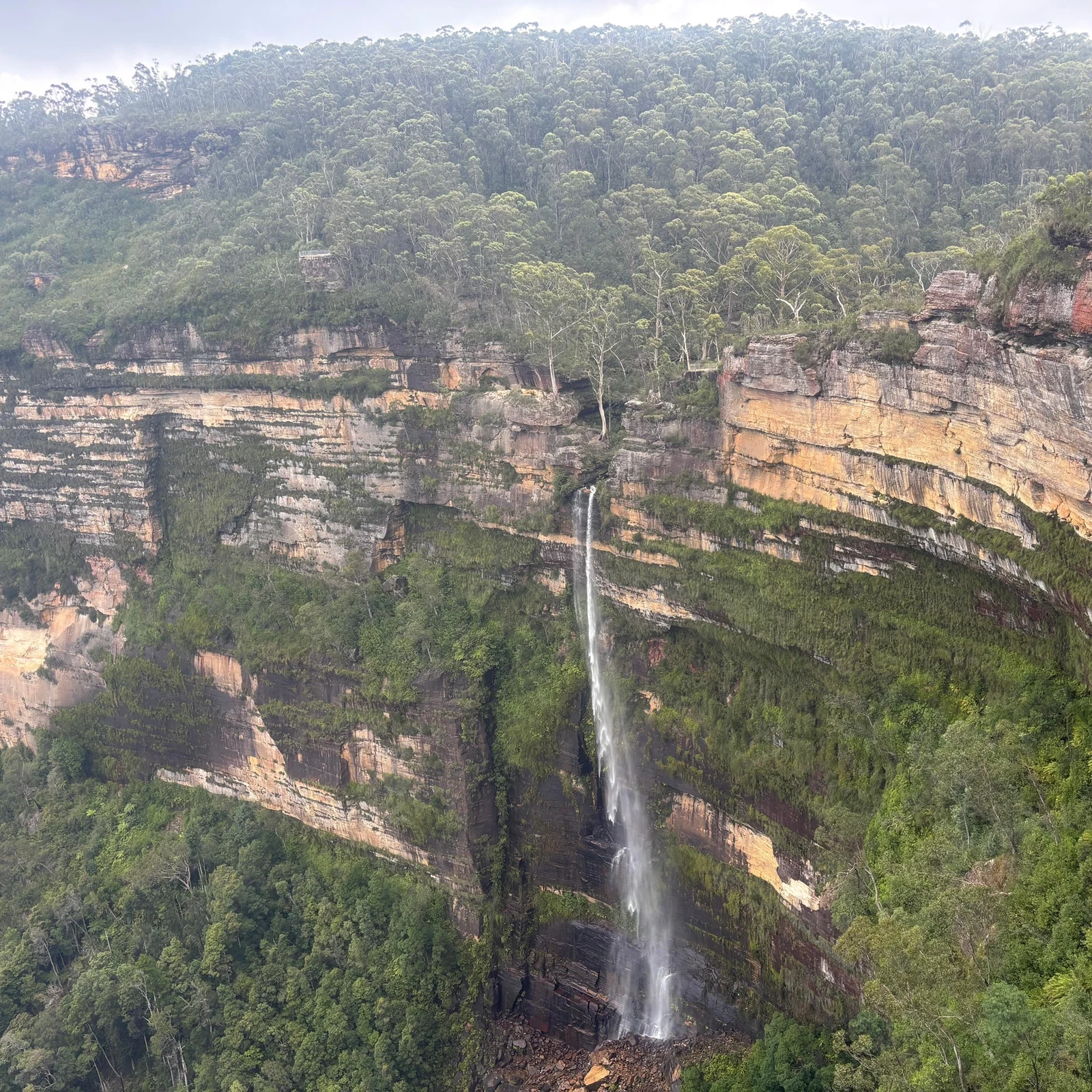 Blue Mountains ab Sydney: Natur, Kängurus und Sonnenuntergang