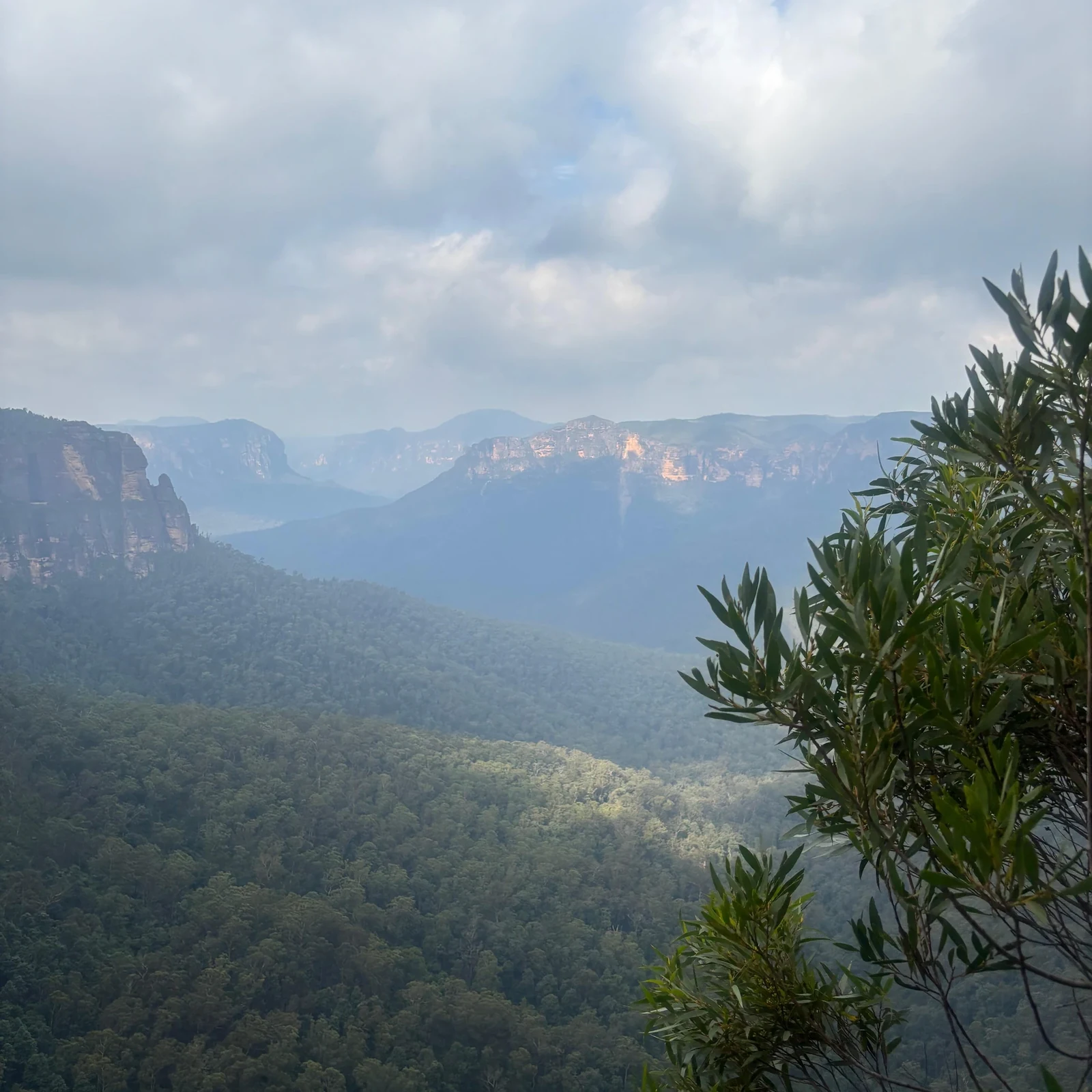 Blue Mountains from Sydney: Wilderness, Kangaroos and Sunset