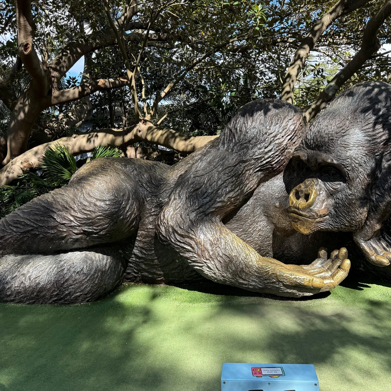 Taronga Zoo mit Hin- und Rückfahrt per Fähre in Sydney