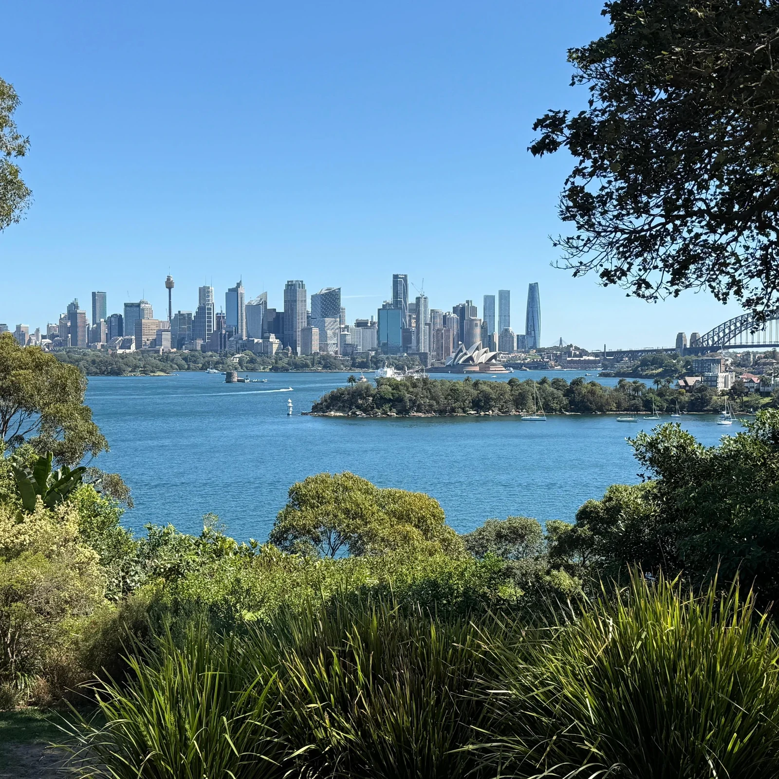 Taronga Zoo with Return Ferry in Sydney