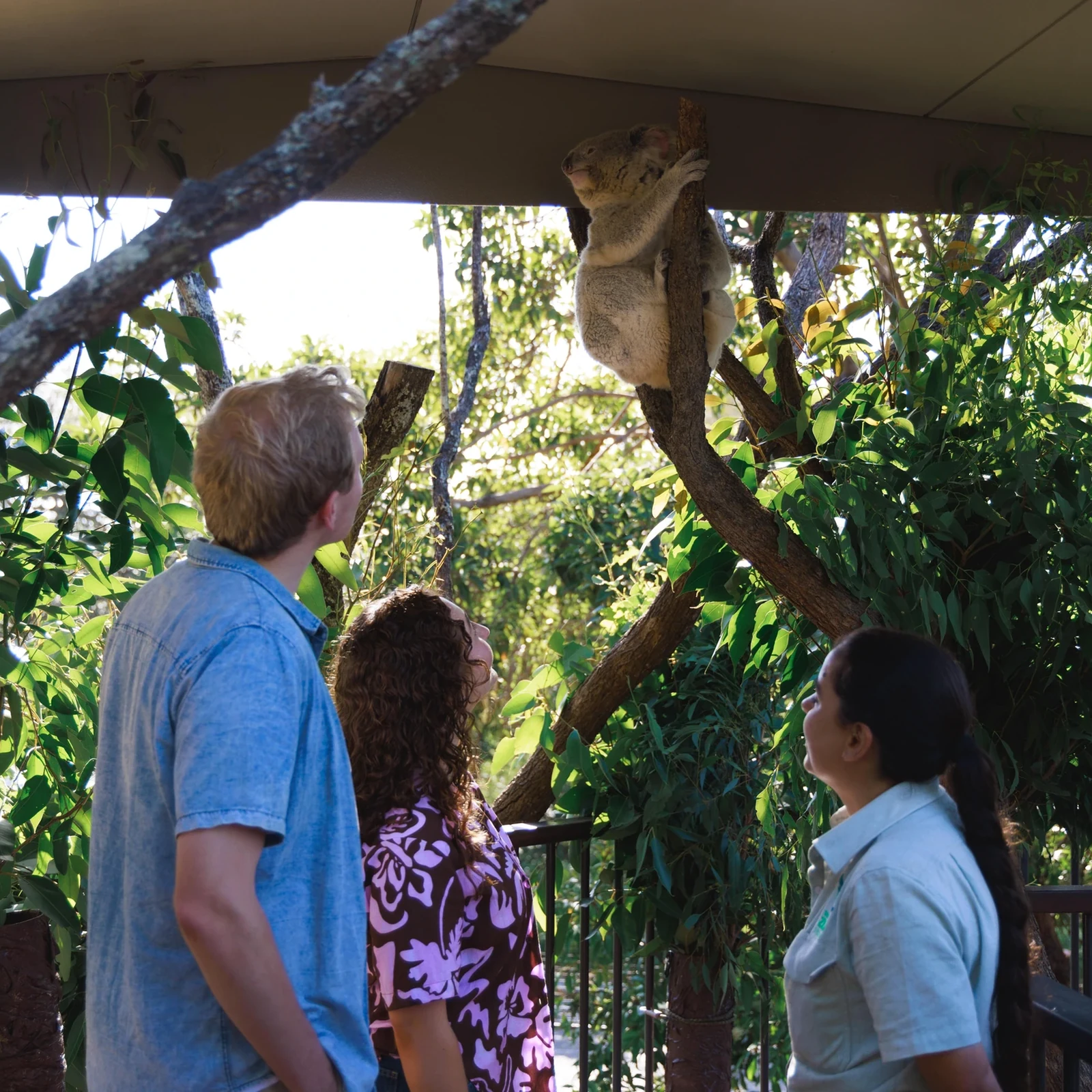 Wild Australia Experience im Taronga Zoo Sydney