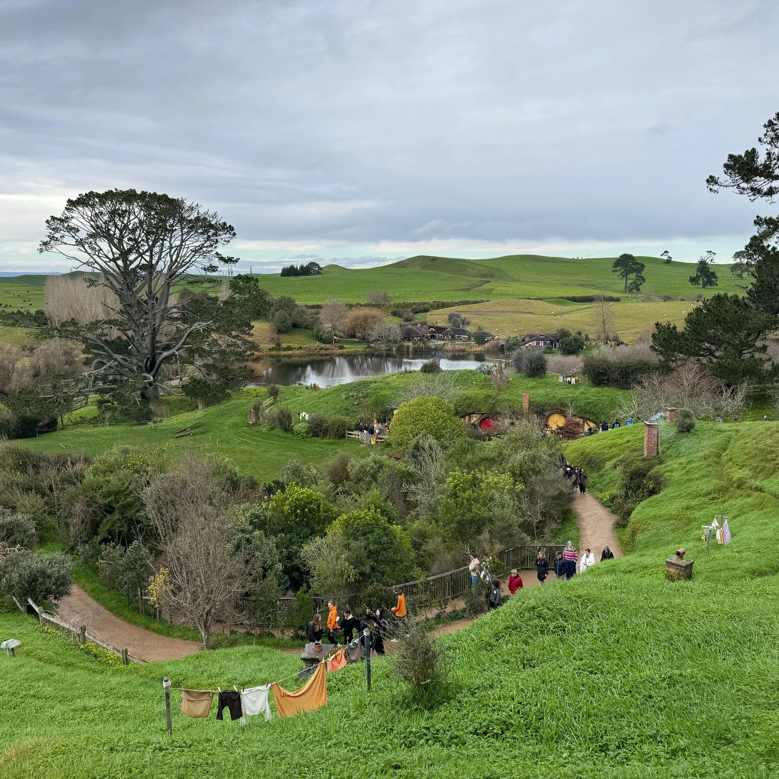 Hobbiton desde Auckland: tour guiado, traslados y almuerzo