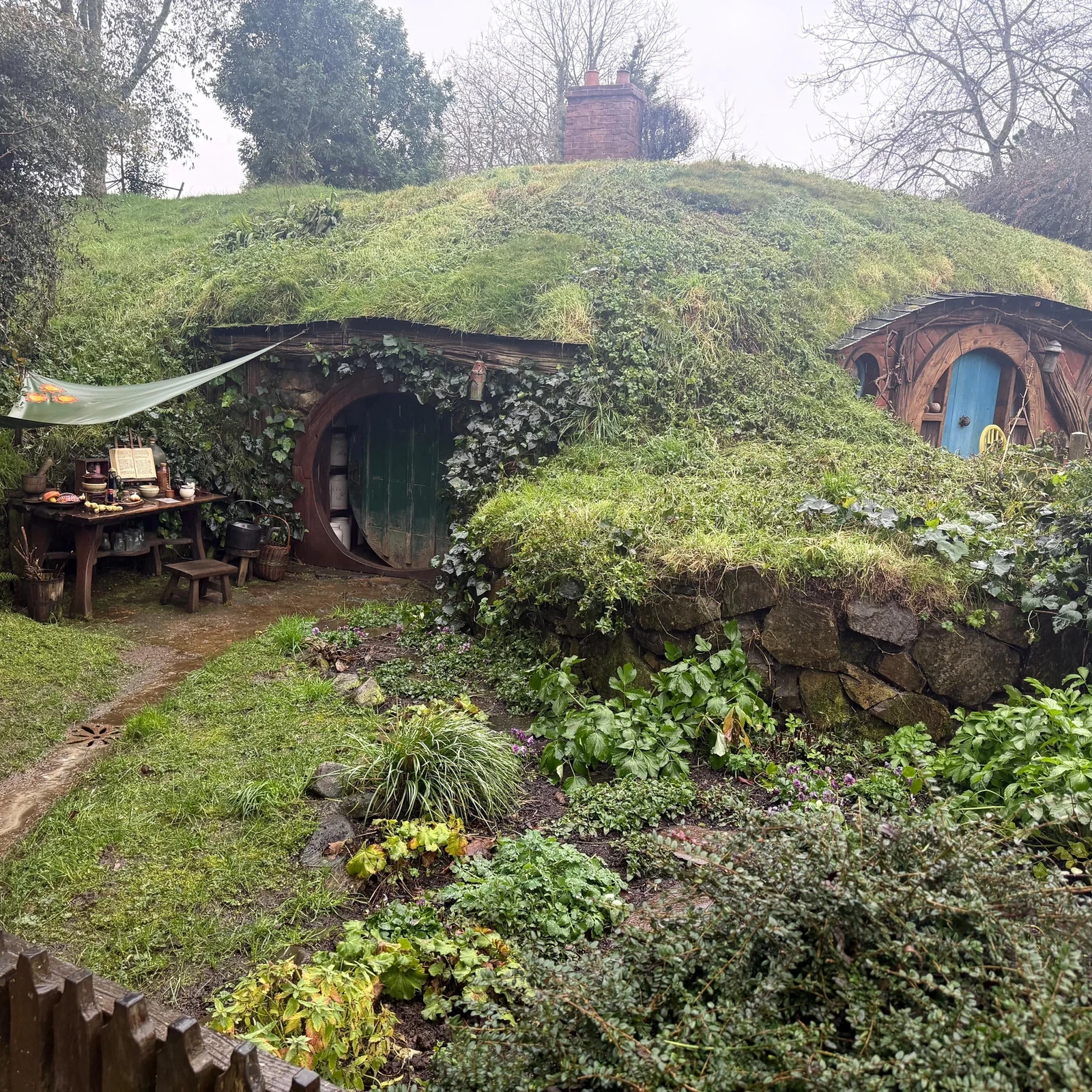 Hobbiton y Waitomo desde Auckland en un solo día