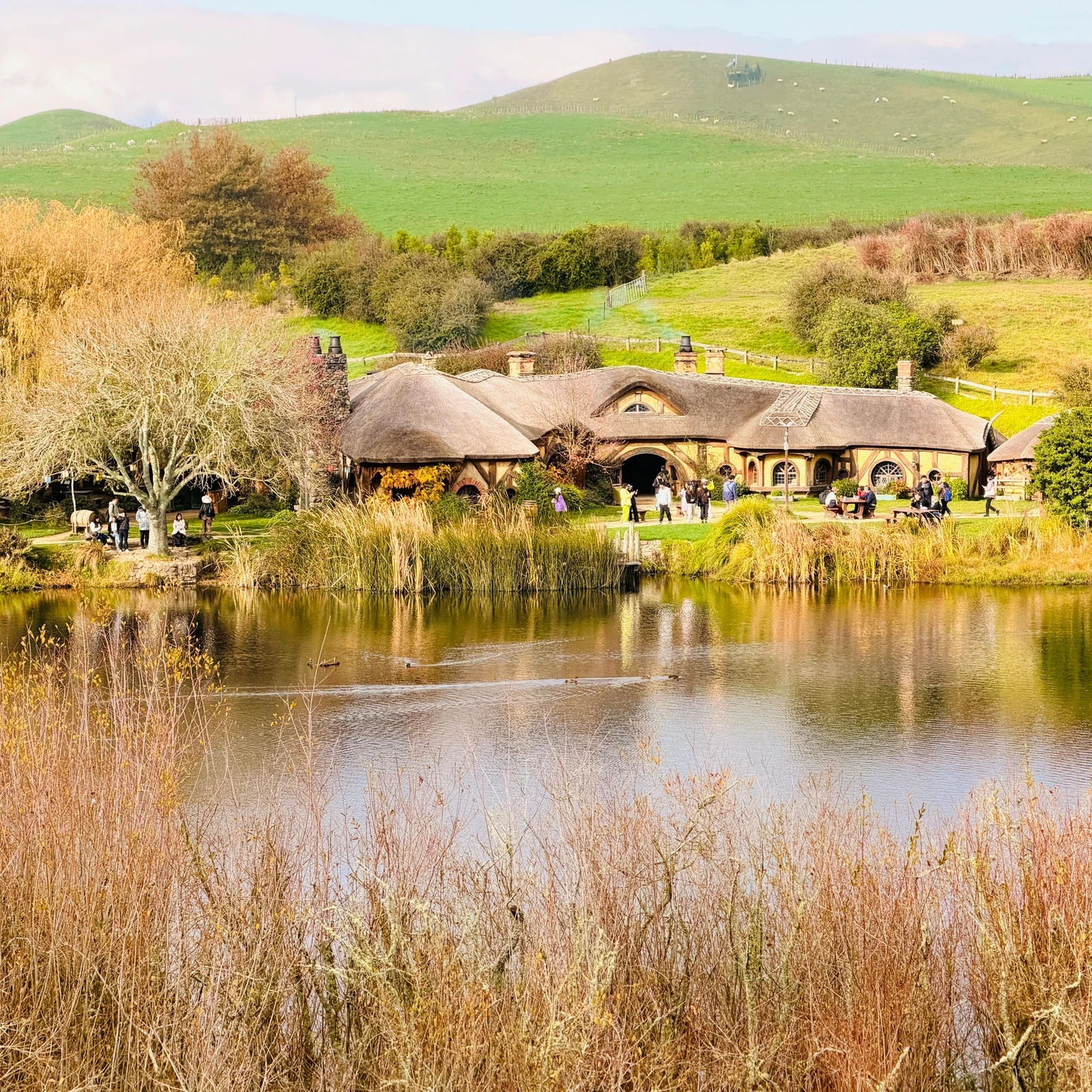 Hobbiton y Waitomo desde Auckland en un solo día