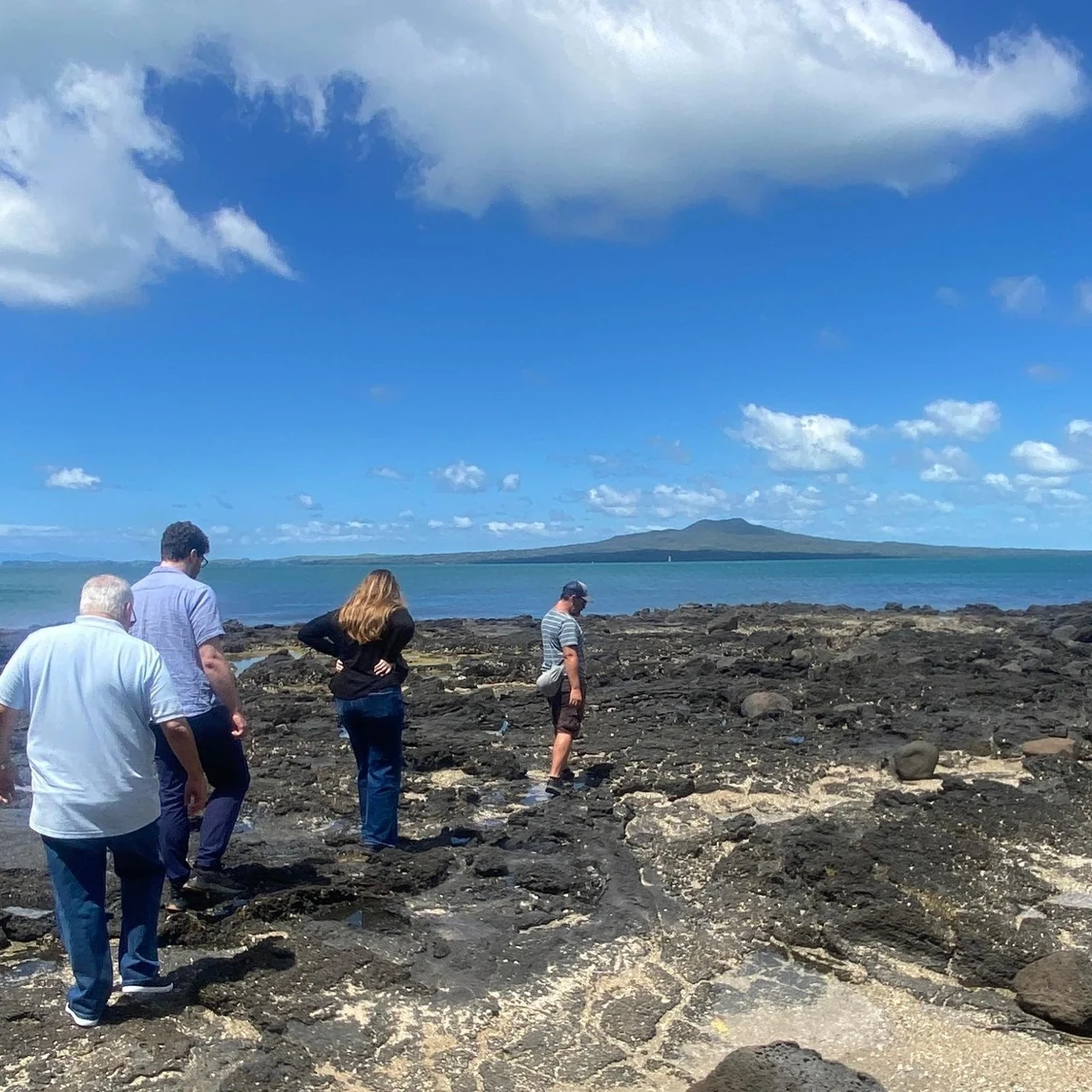 Auckland Urban Rainforest Tour: volcanic coast and native forest