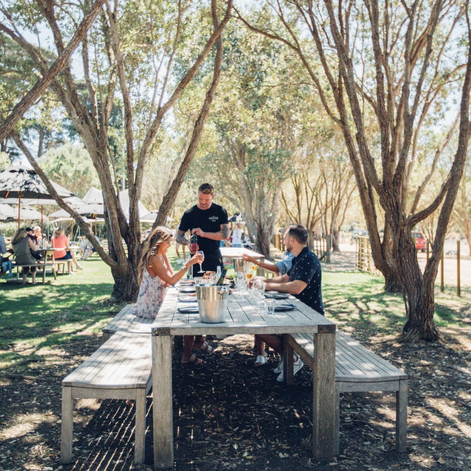 Excursion œnologique à Waiheke Island : jusqu’à 4 domaines et dégustations