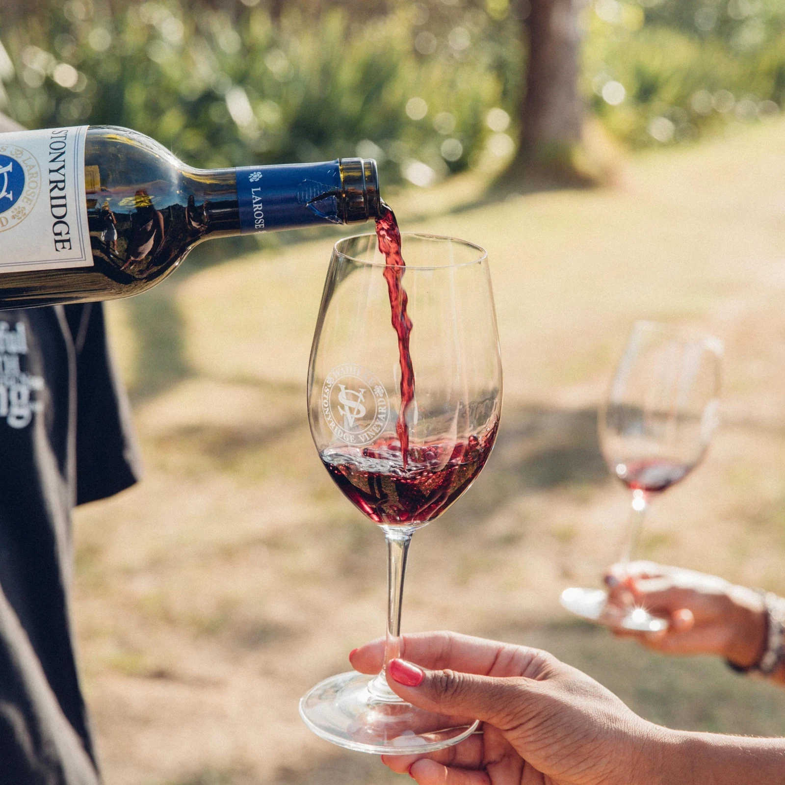 Weintour auf Waiheke Island: bis zu 4 Weingüter und Verkostungen