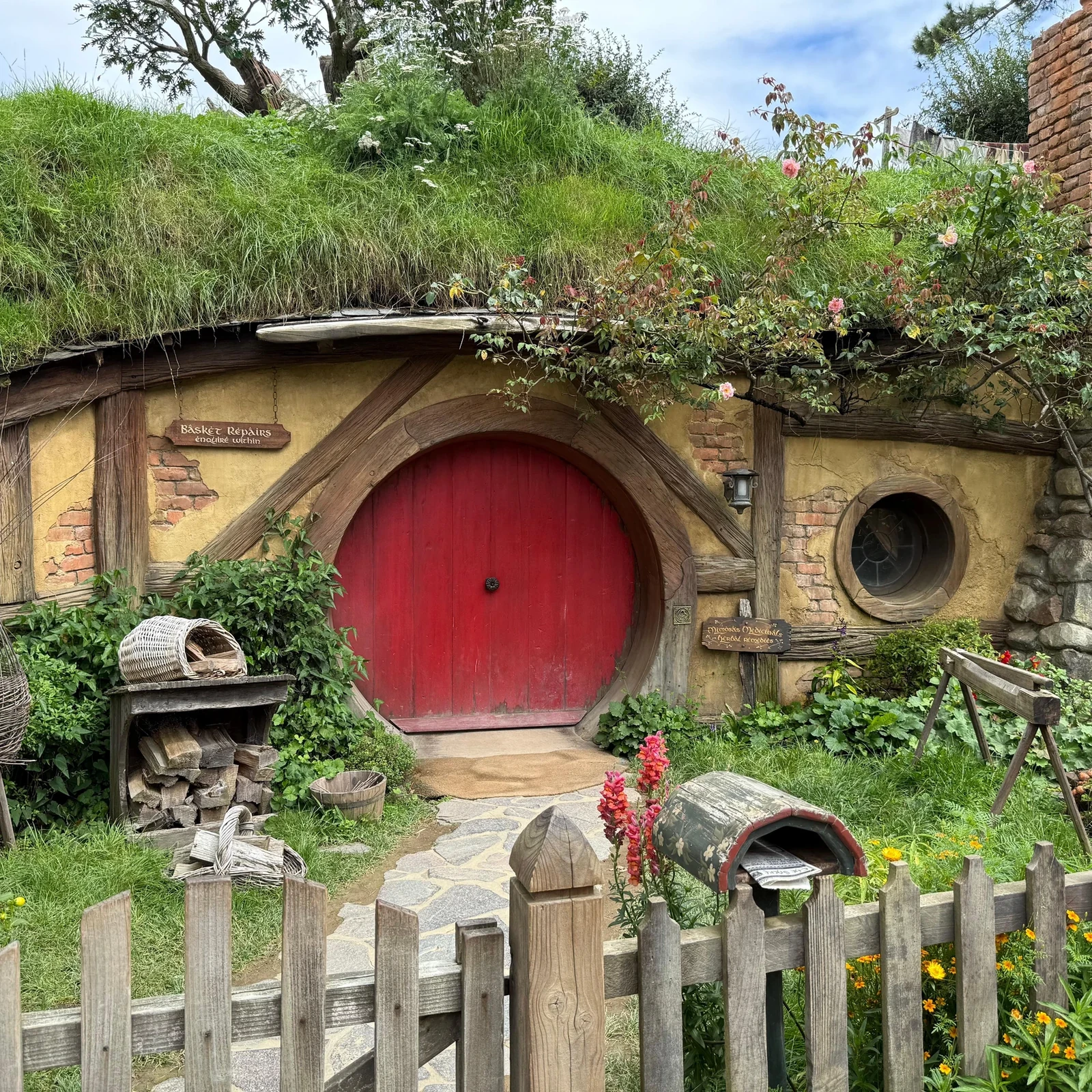 Waitomo et Hobbiton depuis Auckland en une journée