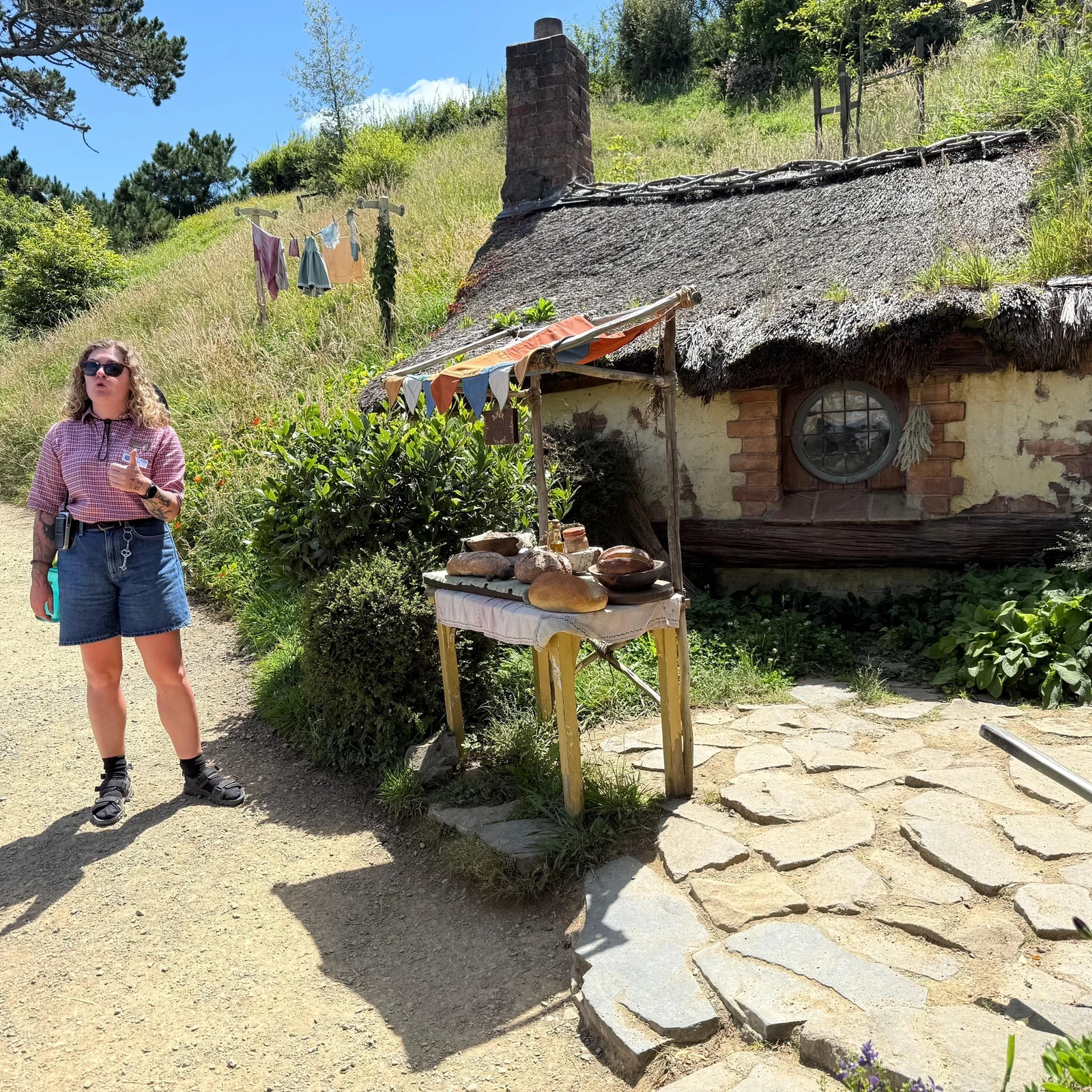 Waitomo et Hobbiton depuis Auckland en une journée