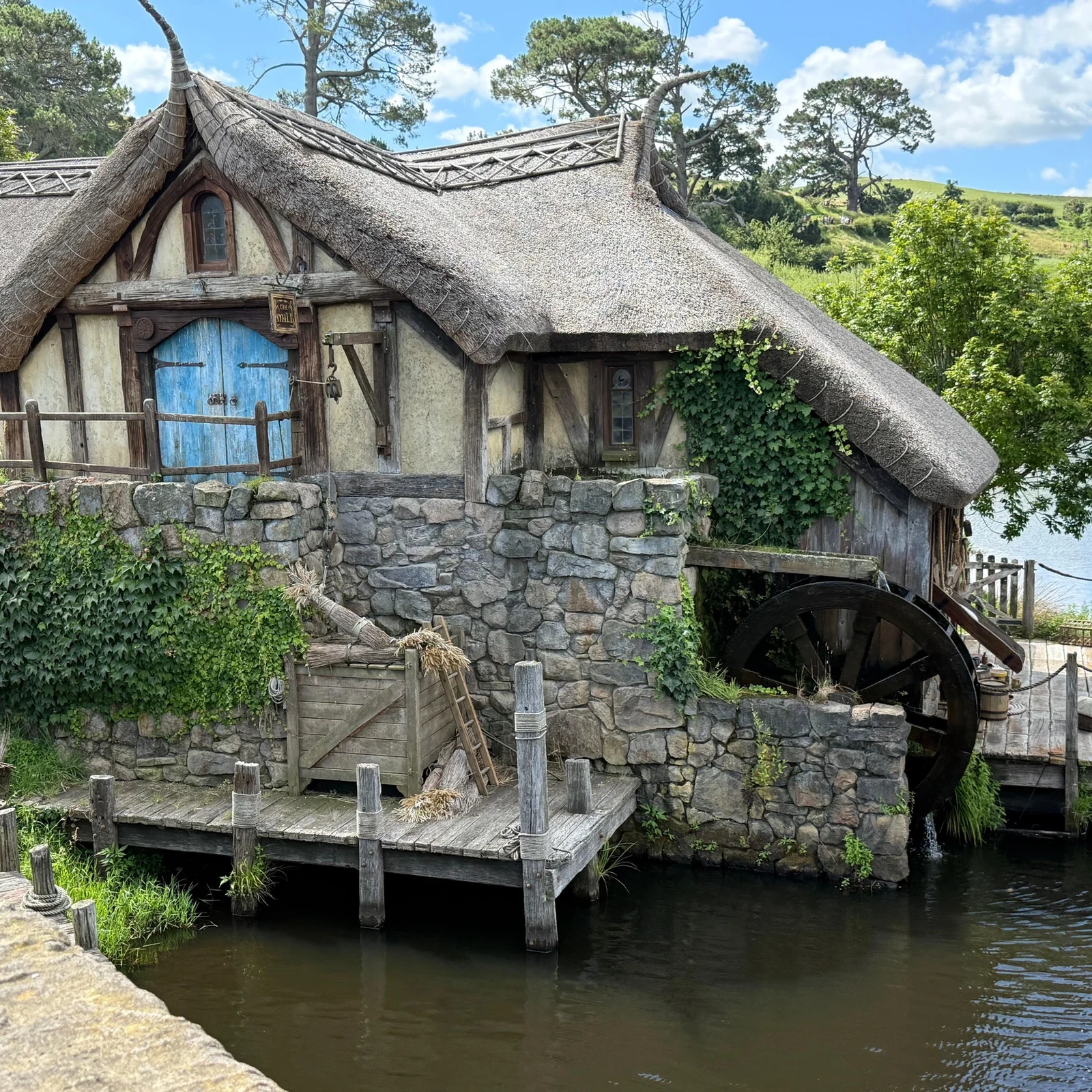 Waitomo et Hobbiton depuis Auckland en une journée
