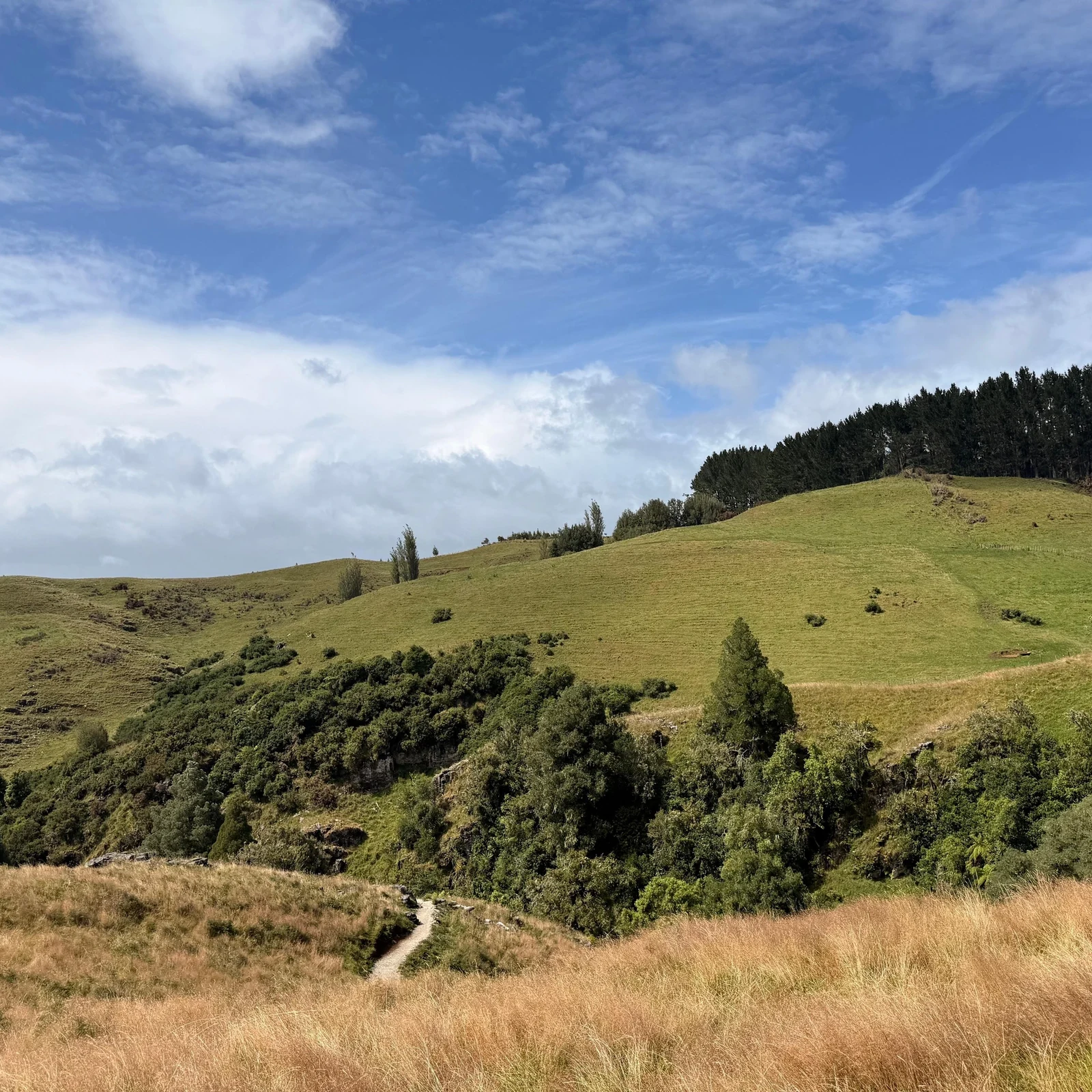 Kleingruppen-Ausflug von Auckland zu den Spellbound Waitomo Glowworm Caves