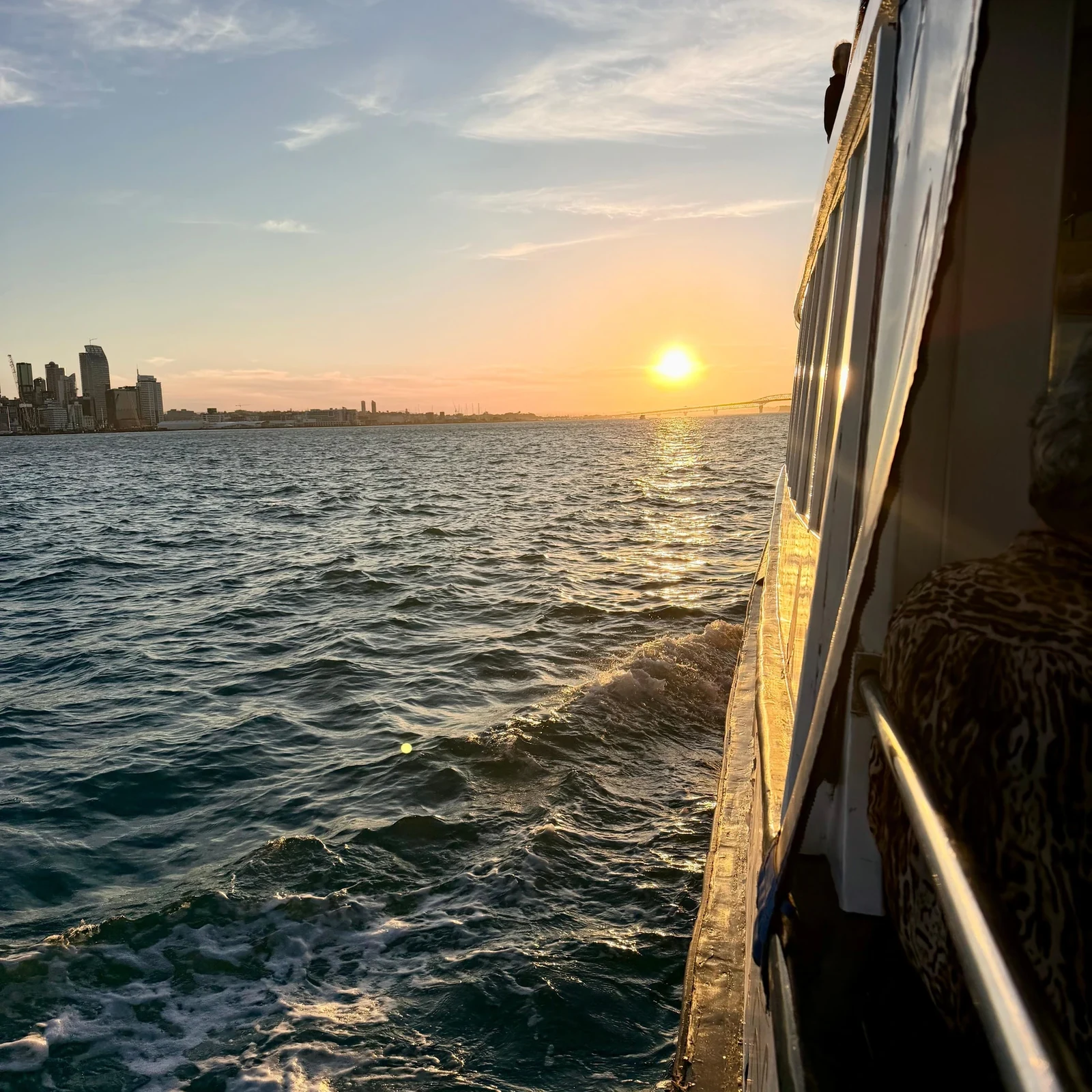 Auckland Sunset Harbour Cruise