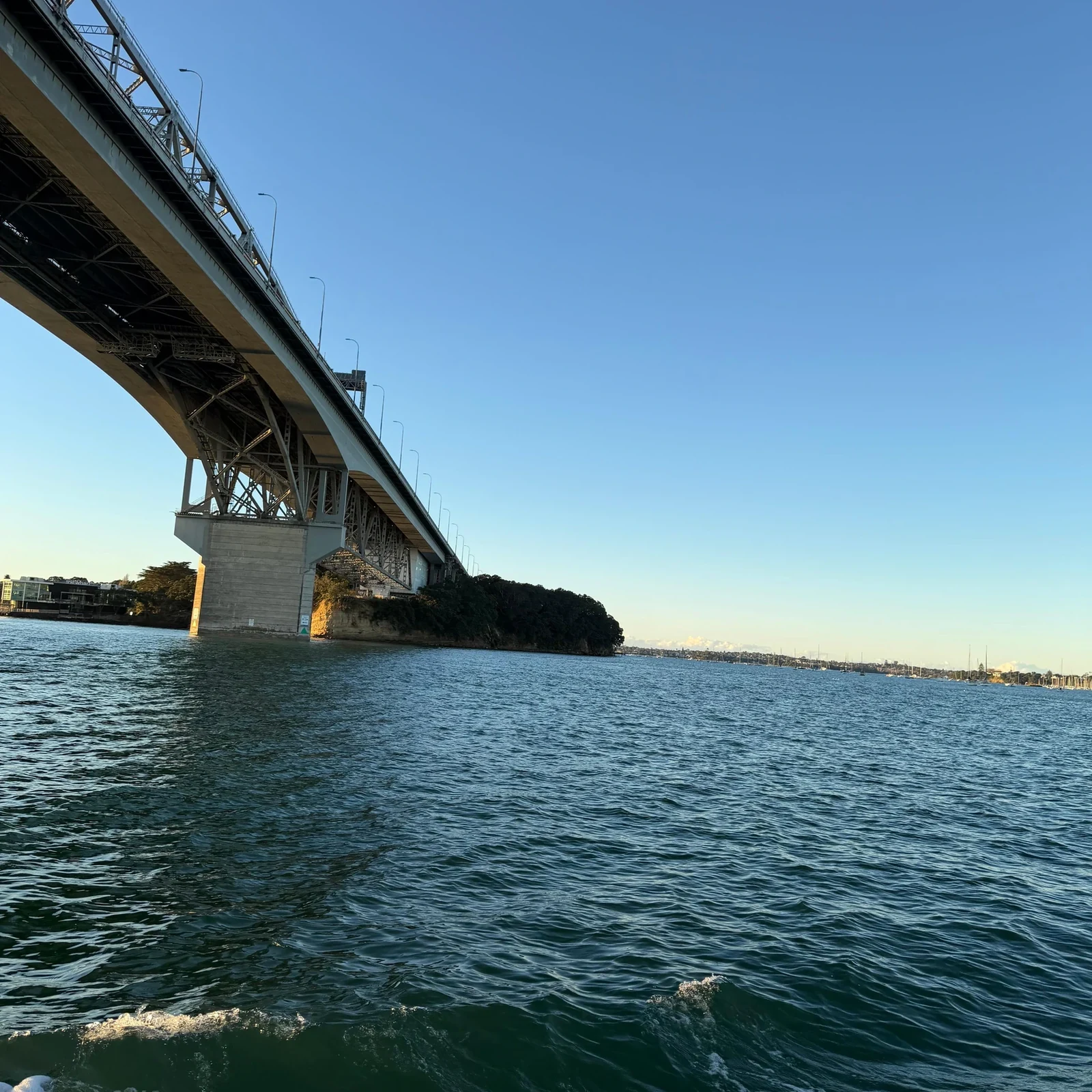 Auckland Sunset Harbour Cruise