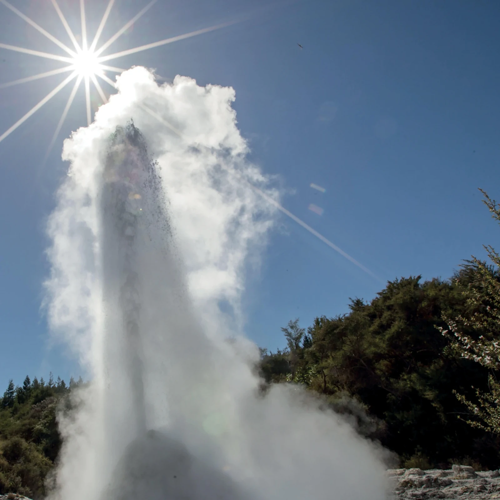Rotorua, Wai-O-Tapu und Te Puia mit Haka ab Auckland