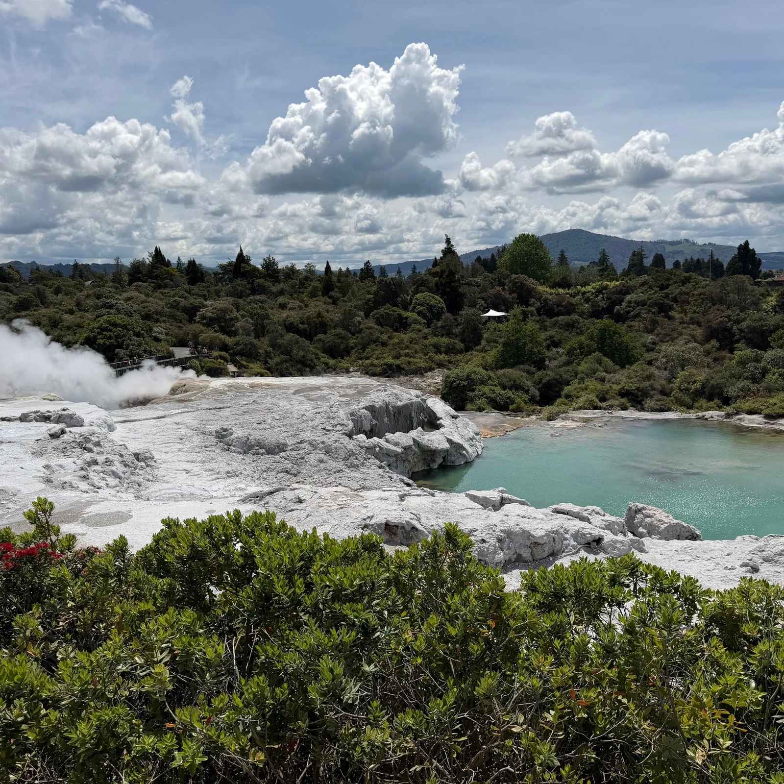 Rotorua, Wai-O-Tapu y Te Puia con haka desde Auckland