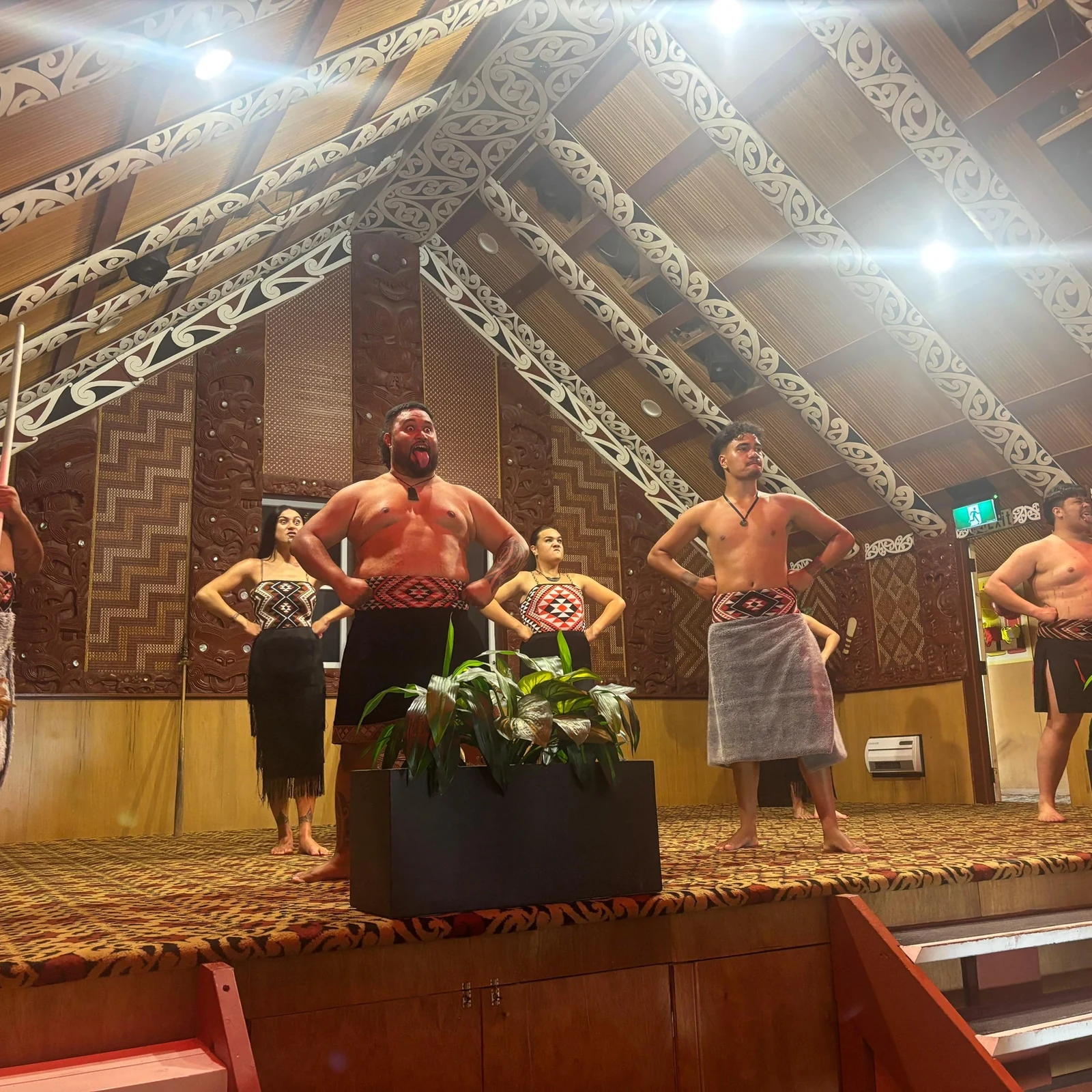 Rotorua, Wai-O-Tapu y Te Puia con haka desde Auckland