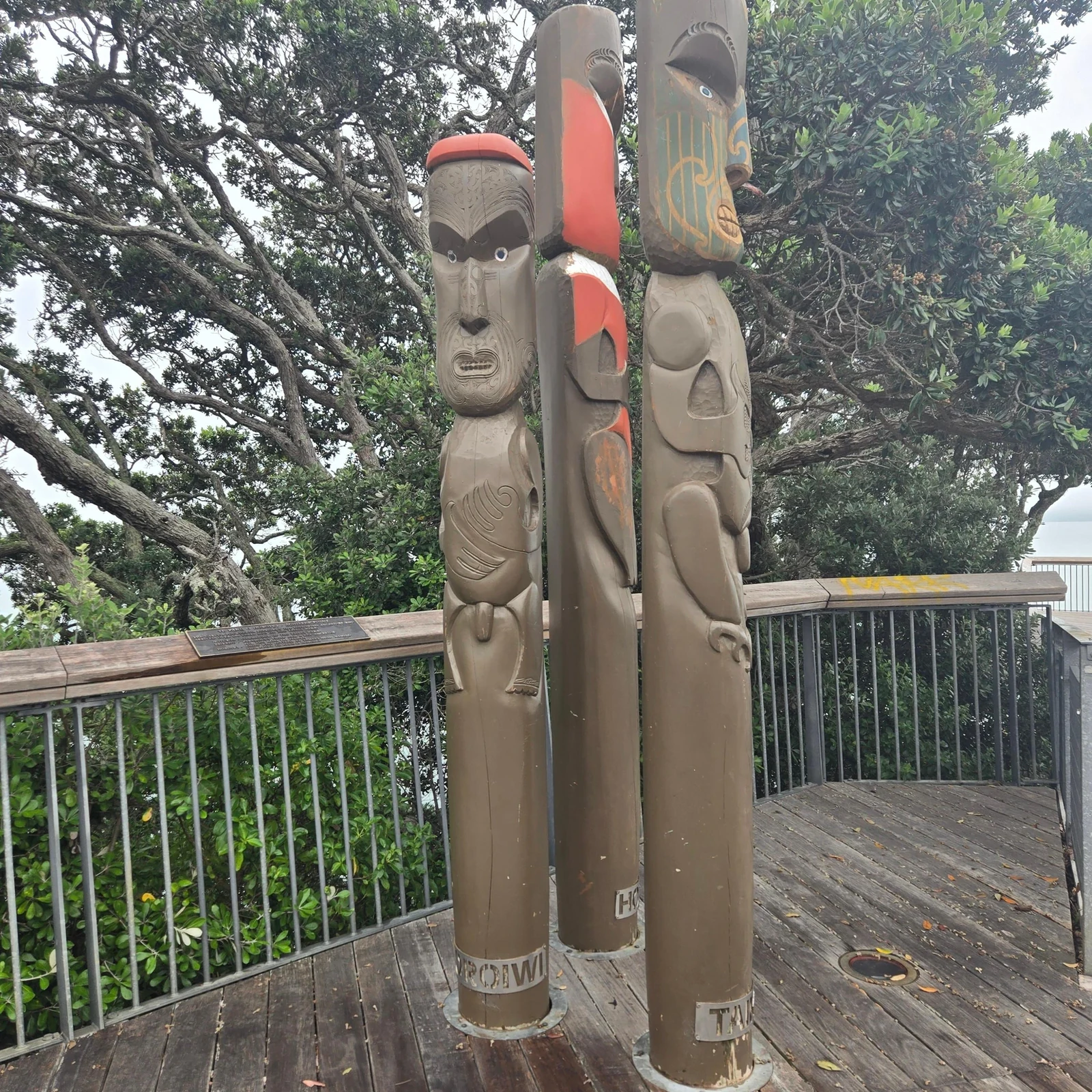 Glowworm-Tour Auckland: Nachterlebnis auf Pukekawa