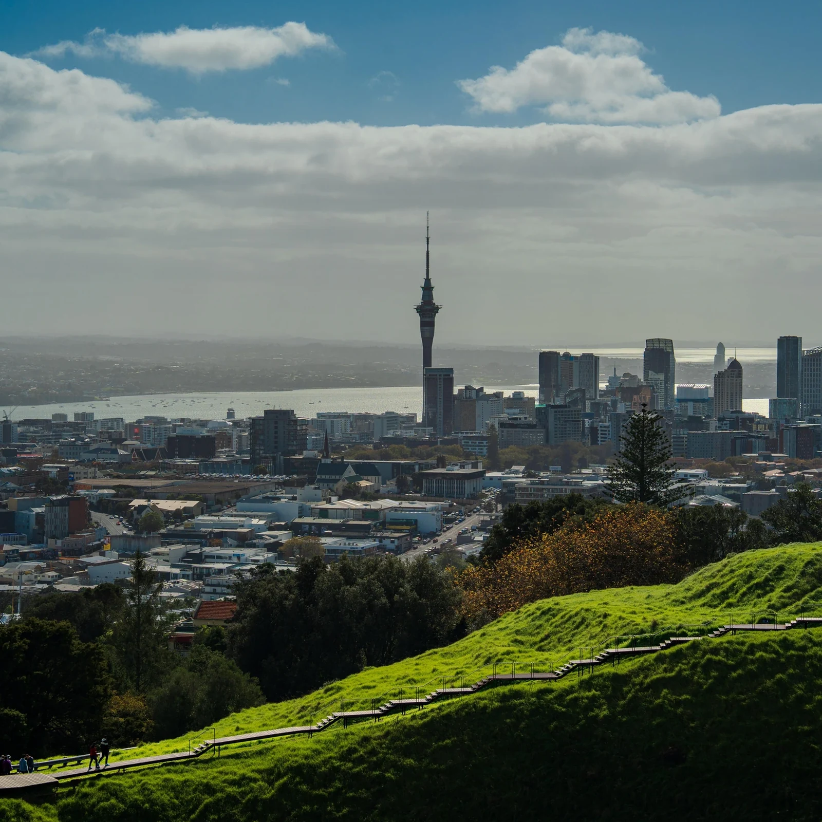 Auckland Scenic Half-Day City Sightseeing Tour: See Auckland in 4 Hours