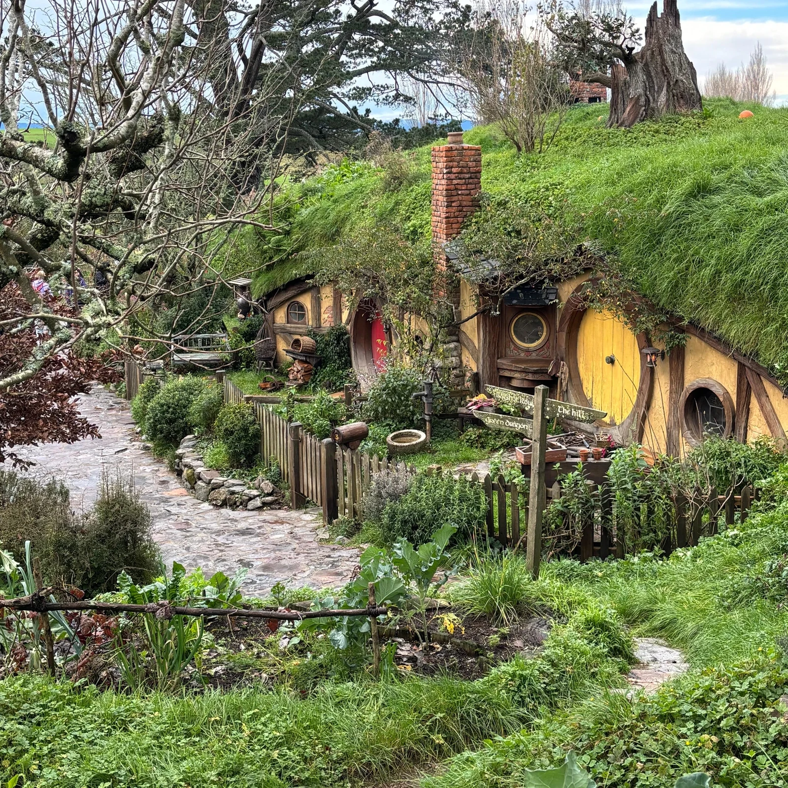 Descubre Auckland en 4 horas con un guía local