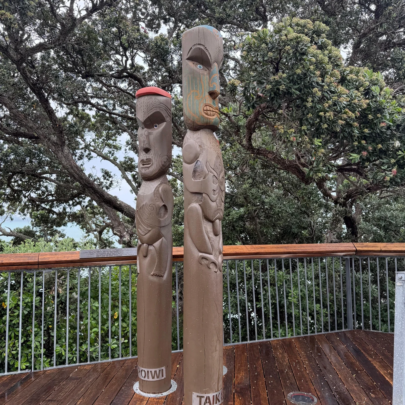 Descubre Auckland en 4 horas con un guía local