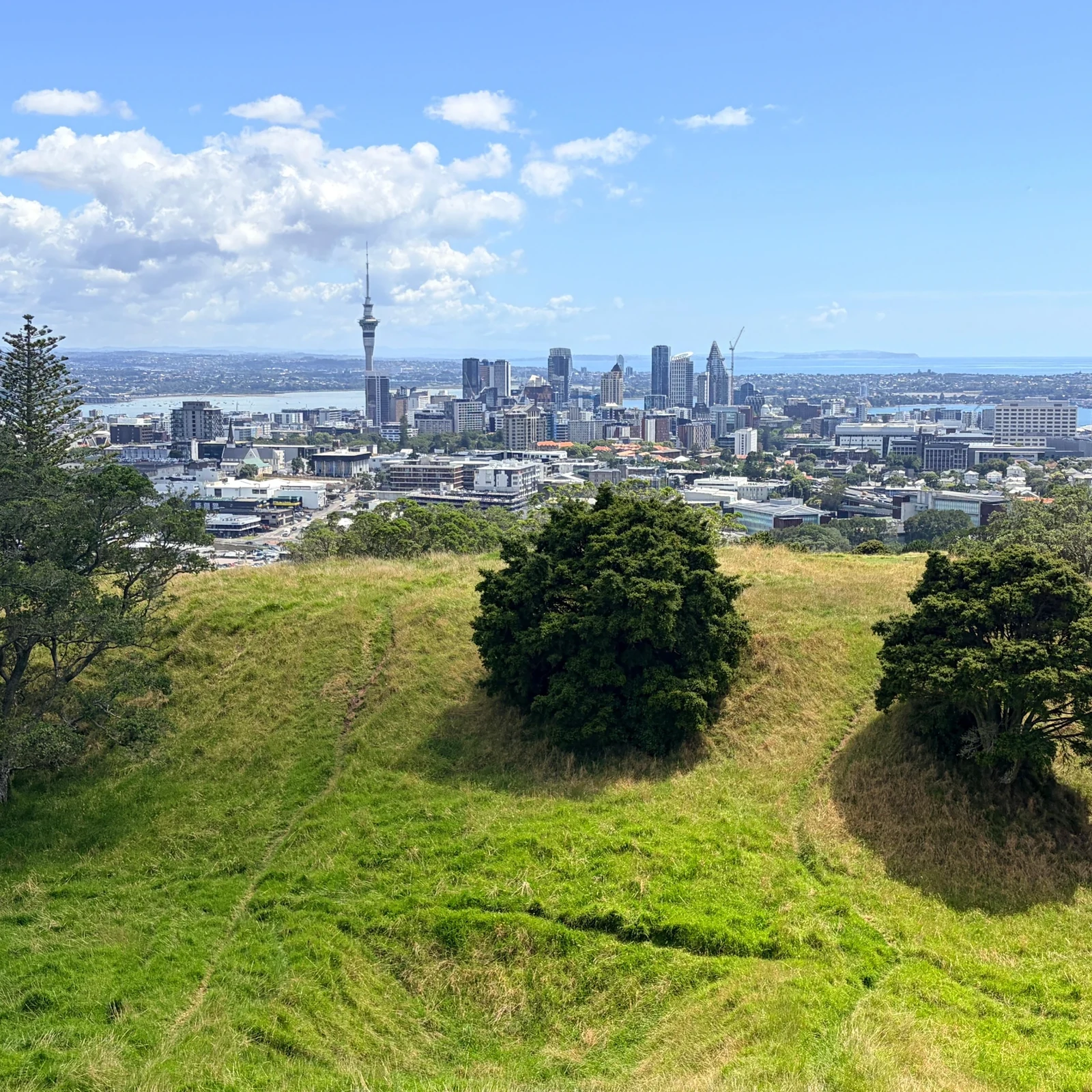Descubre Auckland en 4 horas con un guía local
