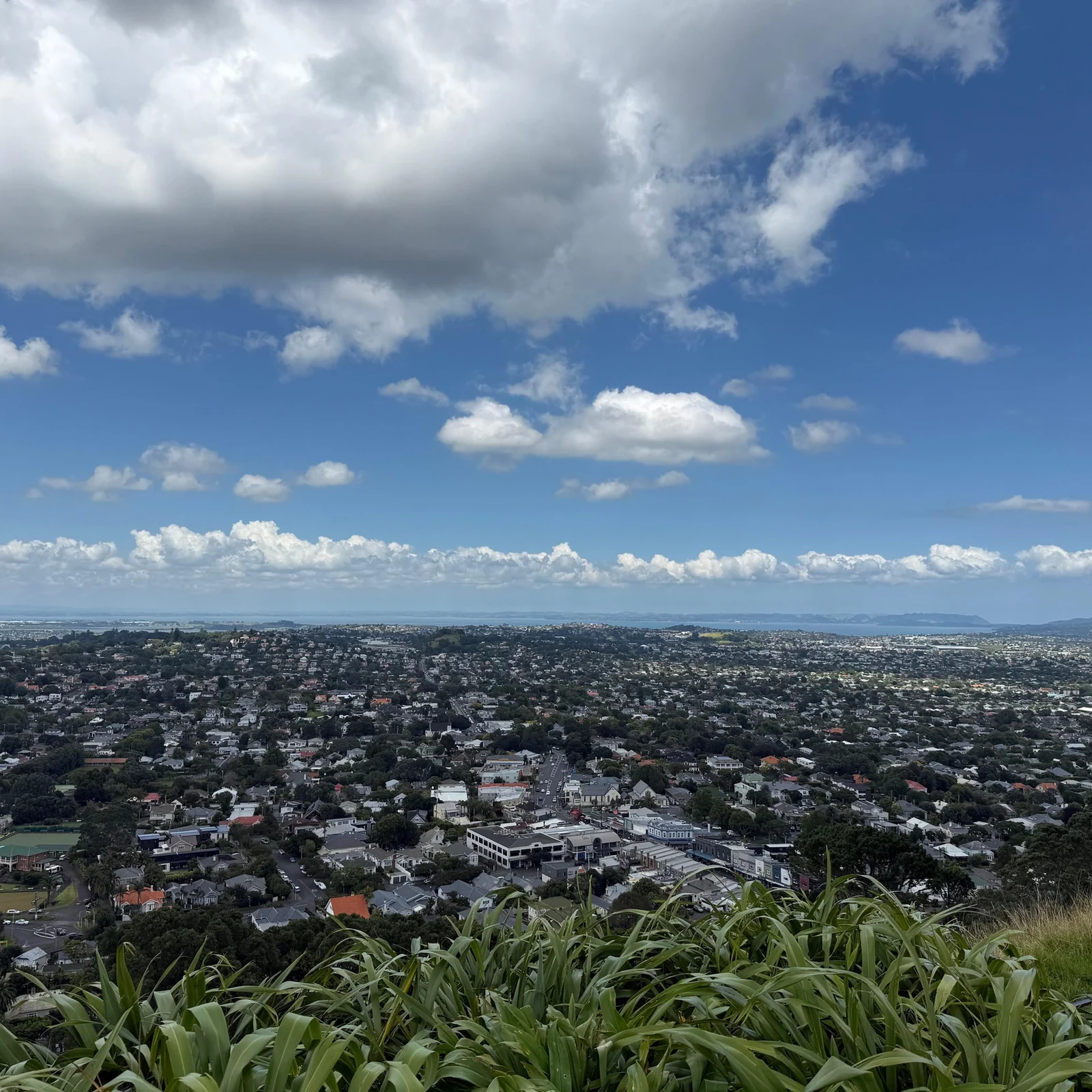 Descubre Auckland en 4 horas con un guía local