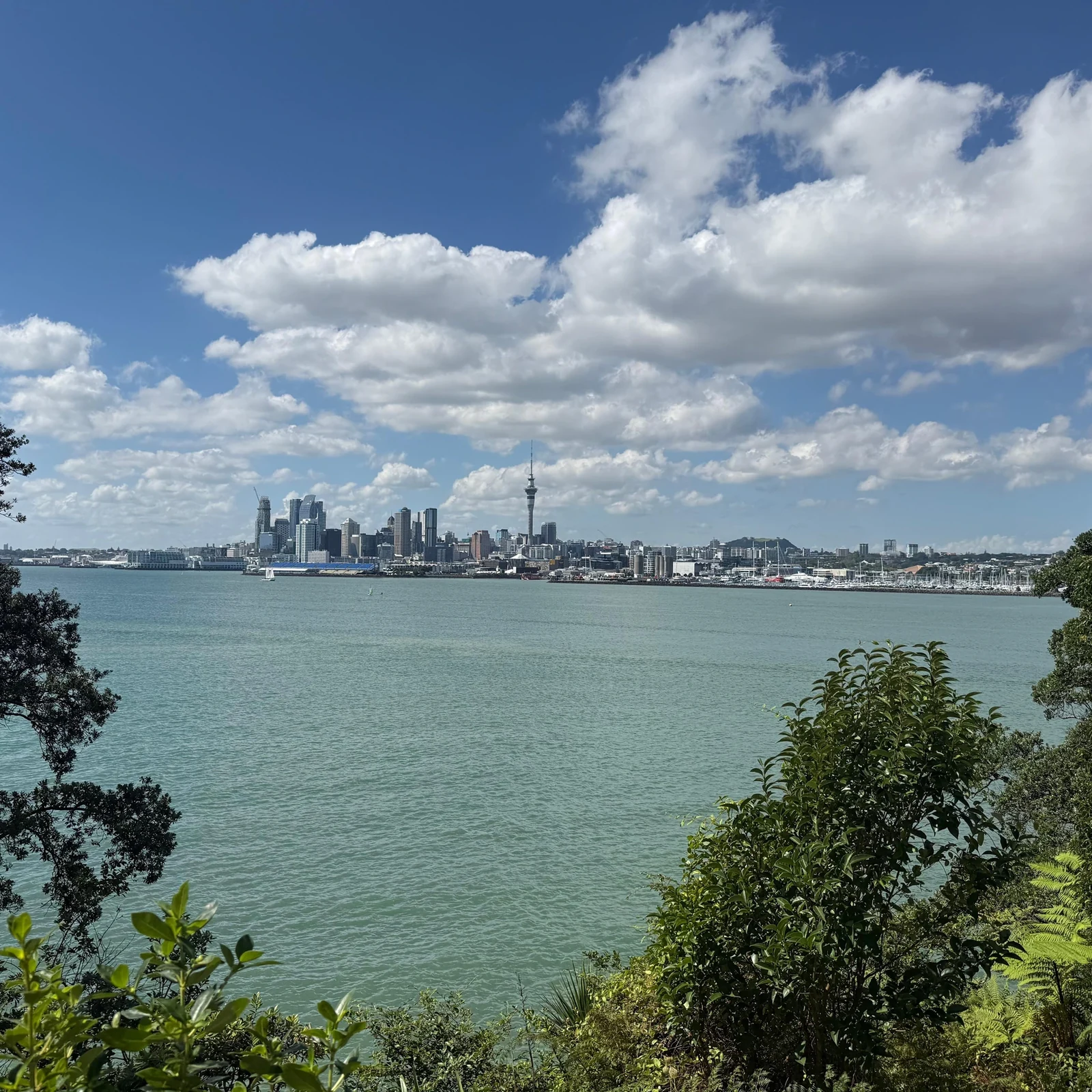 Descubre Auckland en 4 horas con un guía local