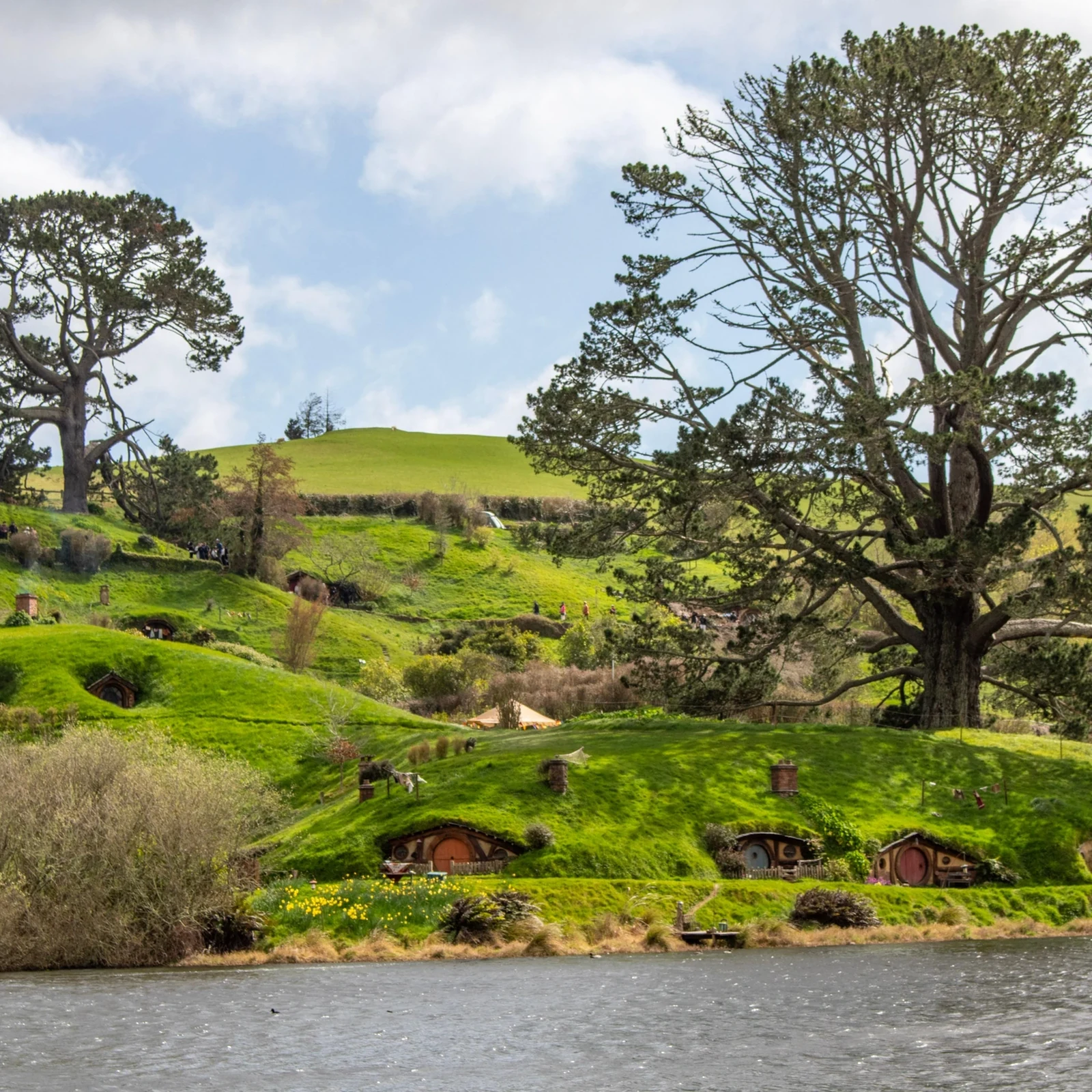 Hobbiton y Waitomo en un día desde Auckland
