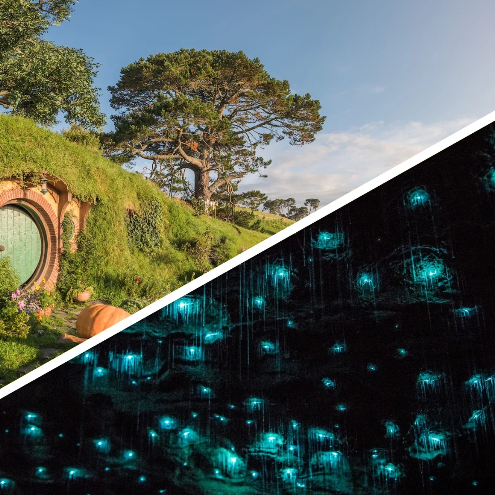 Hobbiton et Waitomo en une journée depuis Auckland