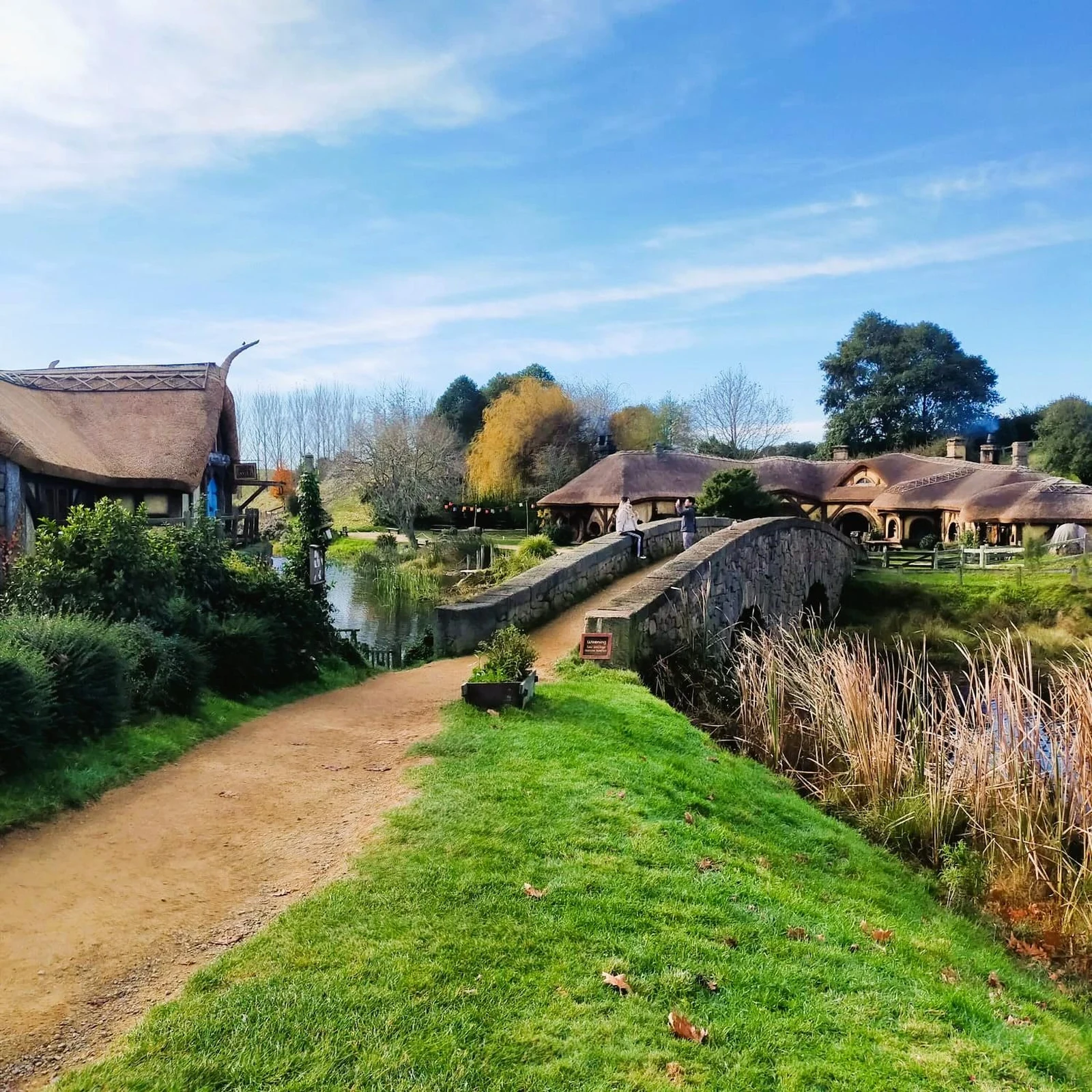Hobbiton et Waitomo en une journée depuis Auckland