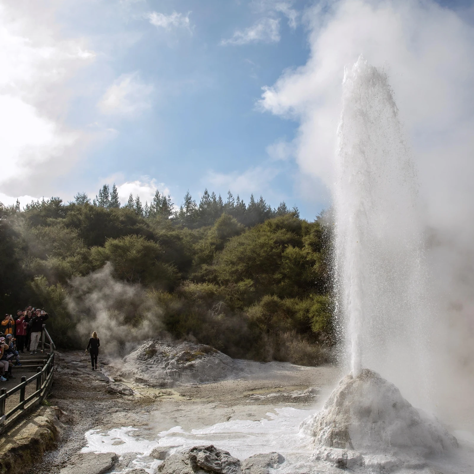 Wai-O-Tapu, Redwood Forest y Blue Springs desde Auckland en un día