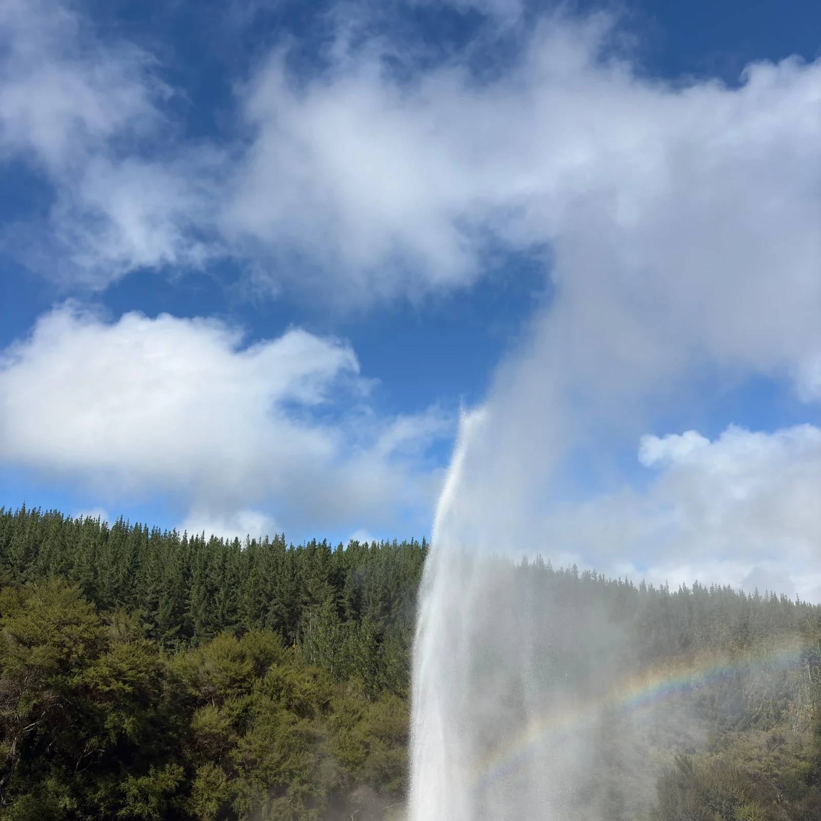 Wai-O-Tapu, Redwood Forest y Blue Springs desde Auckland en un día