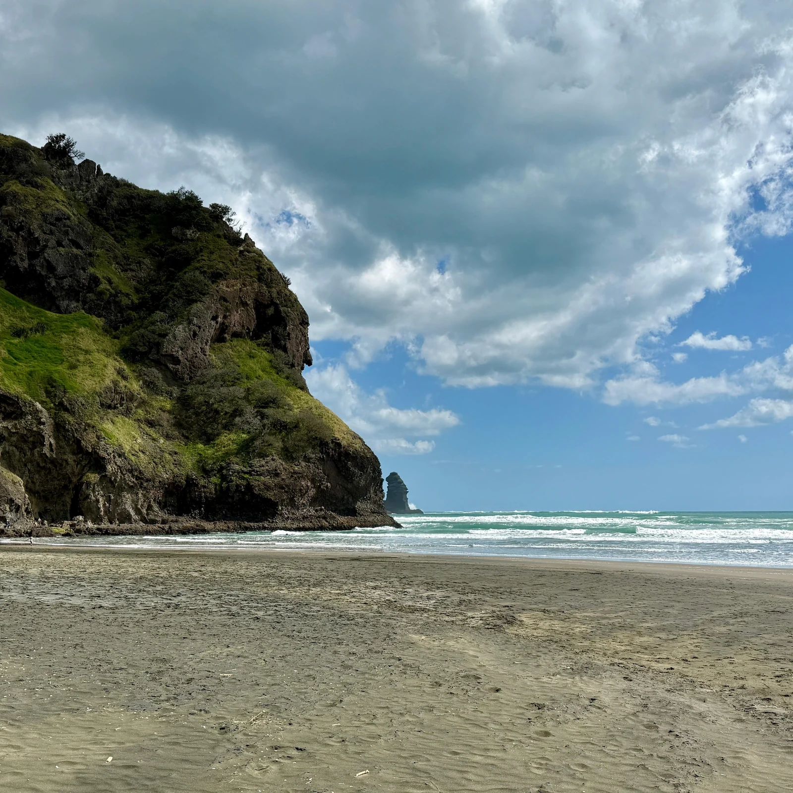 Excursion à Piha Beach depuis Auckland et Waitakere Ranges