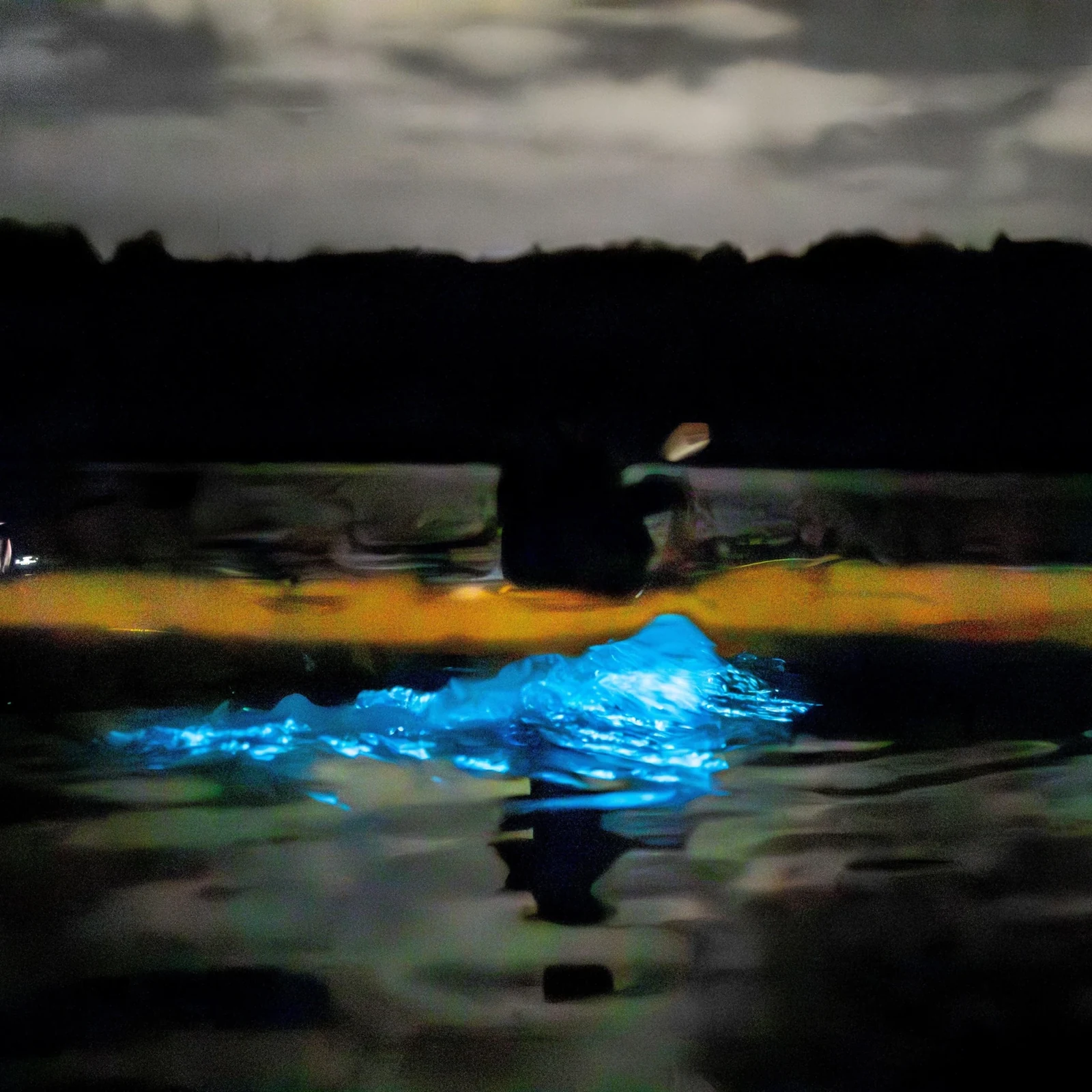 Kayak nocturne dans les eaux bioluminescentes d’Auckland