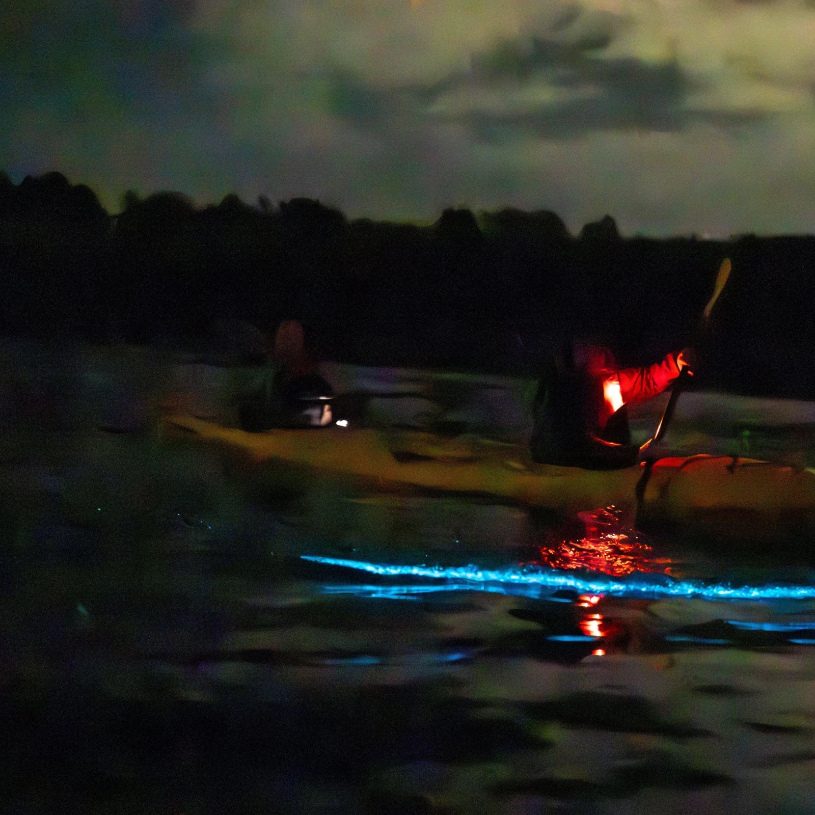 Kayak nocturne dans les eaux bioluminescentes d’Auckland