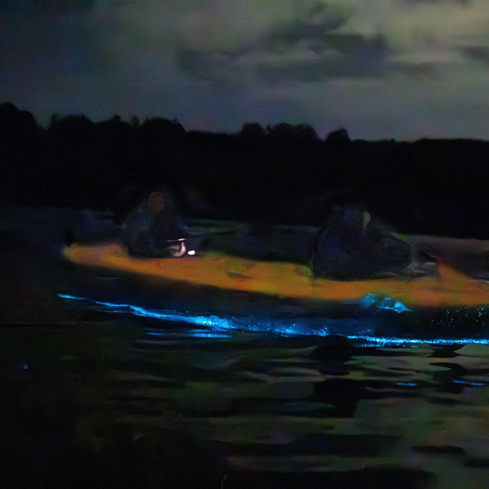 Kayak nocturne dans les eaux bioluminescentes d’Auckland