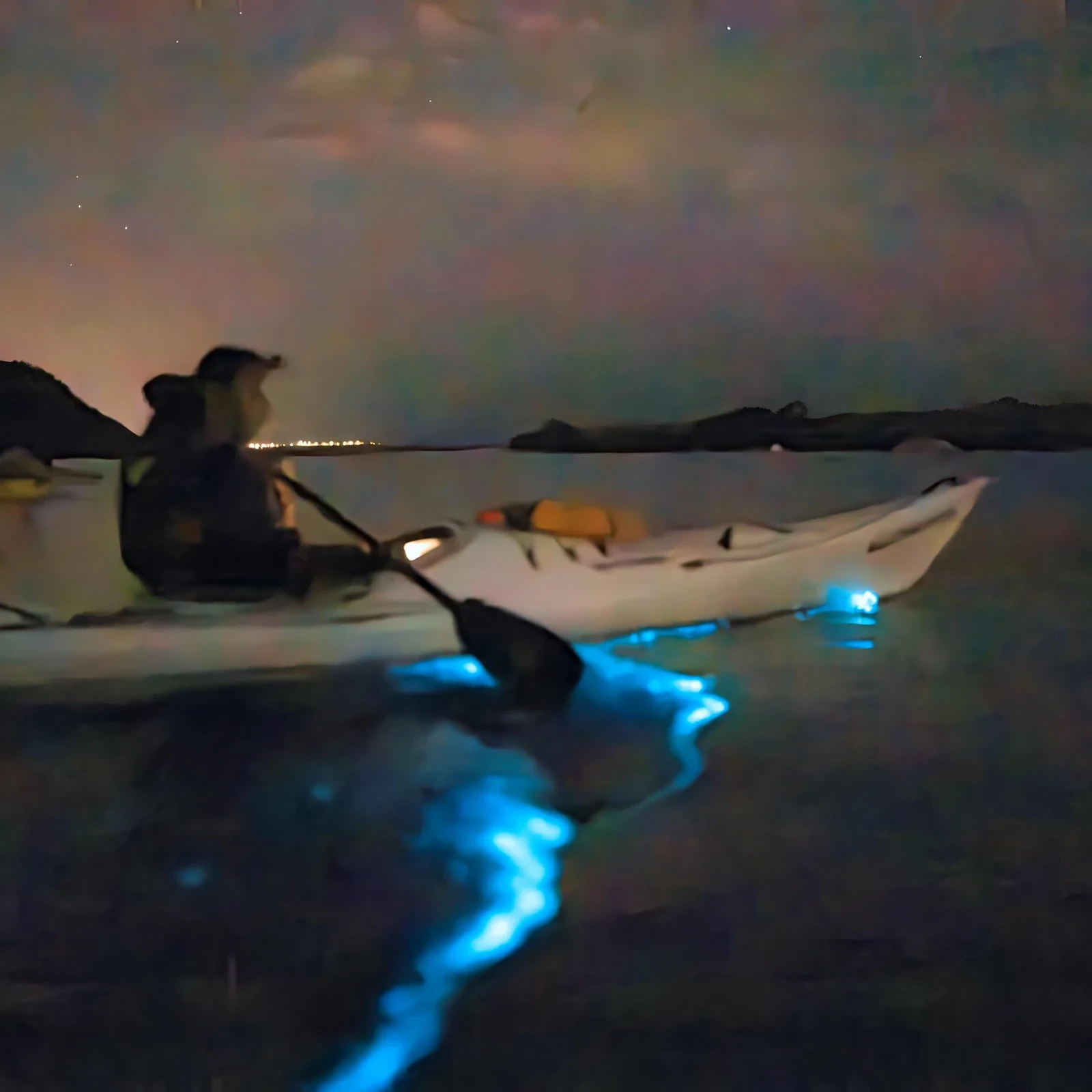 Kayak nocturne dans les eaux bioluminescentes d’Auckland
