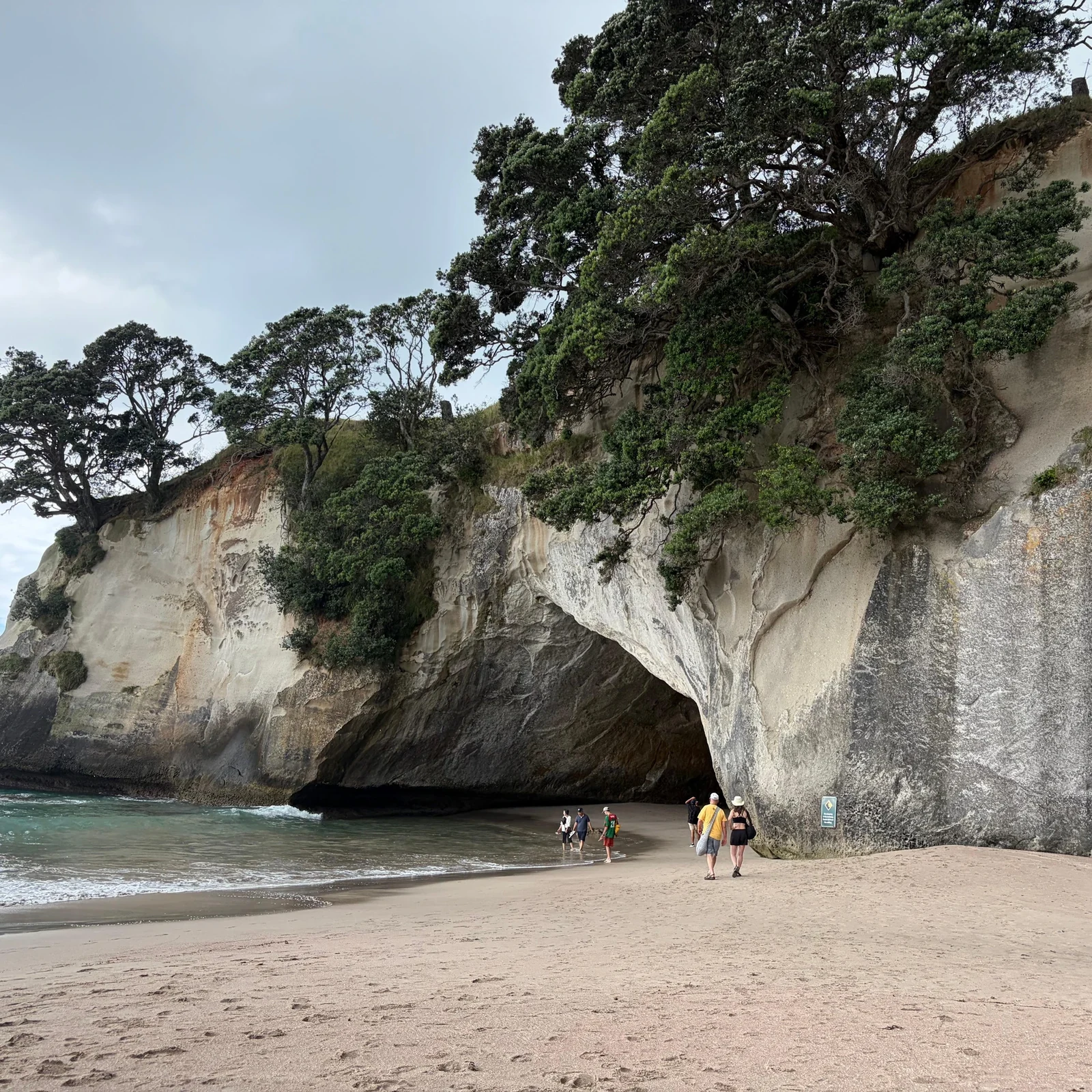 Cathedral Cove et Hot Water Beach depuis Auckland : est-ce que ça vaut le coup ?