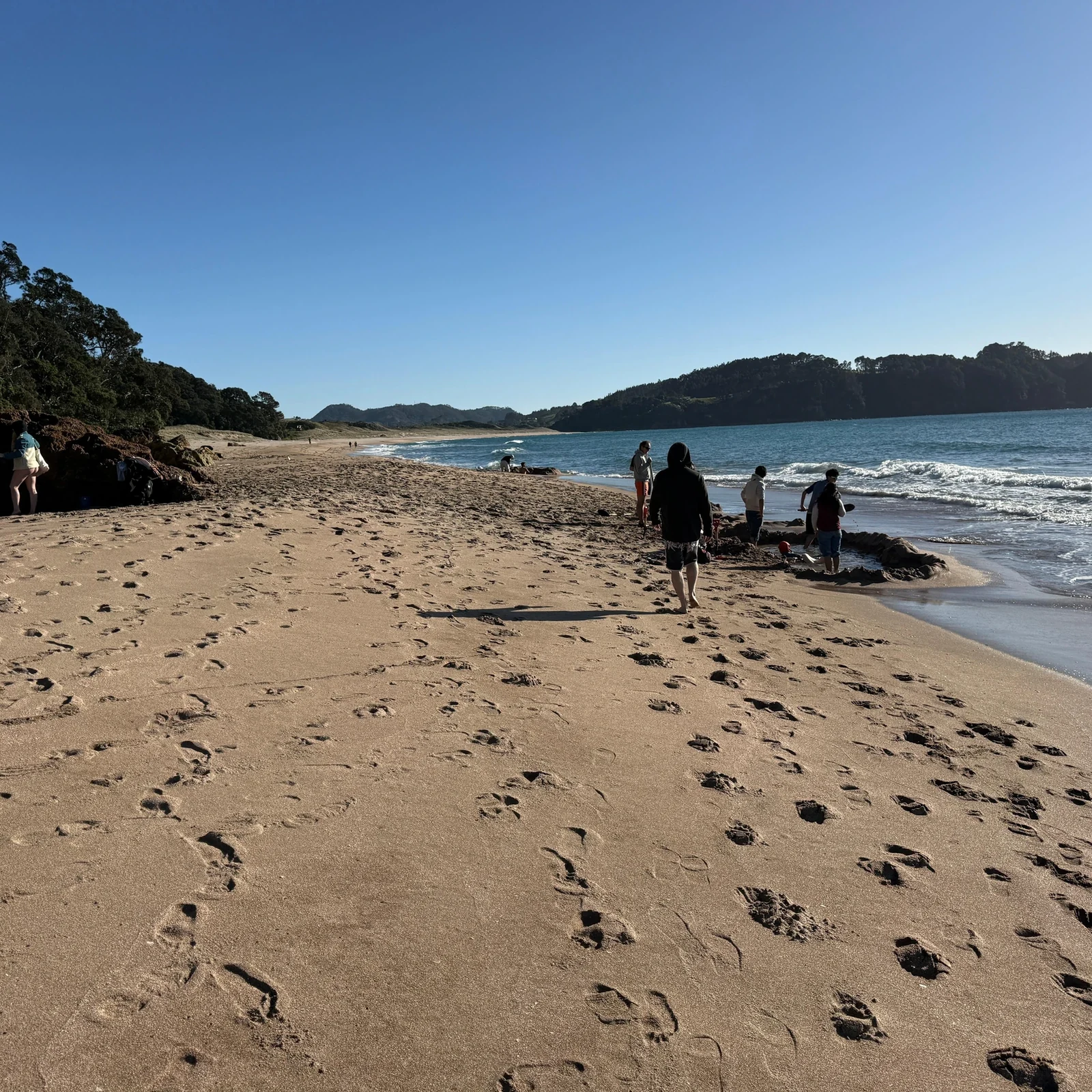Cathedral Cove y Hot Water Beach desde Auckland: ¿merece la pena?